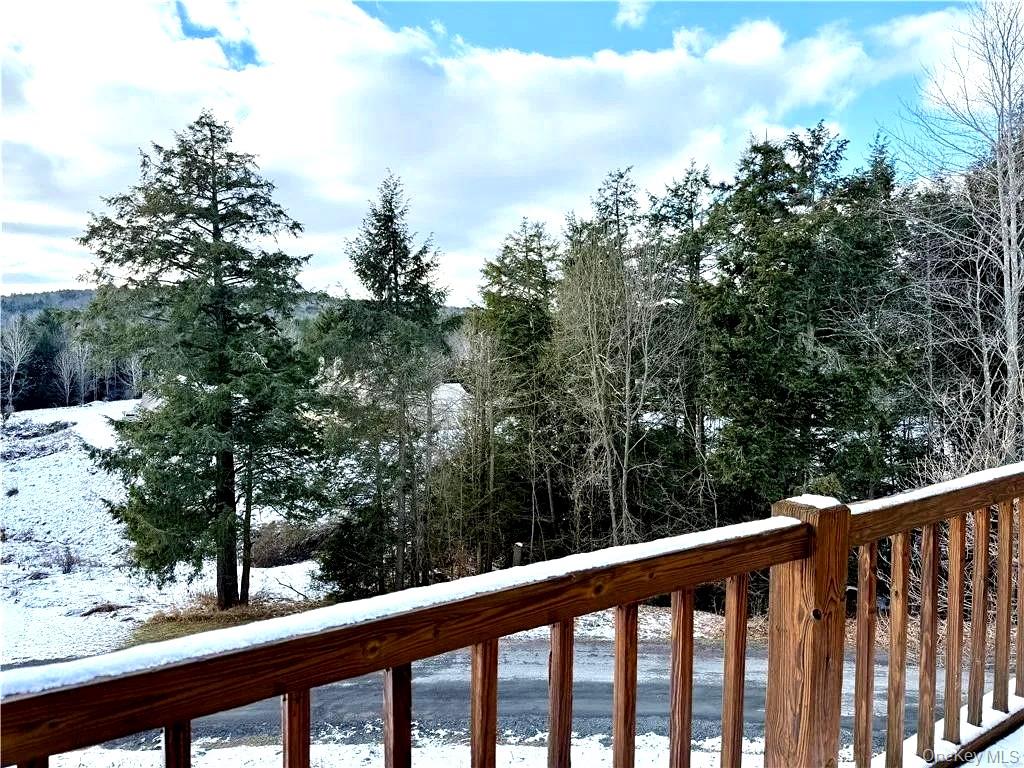 79 Windham Ridge Road # 17A, Windham, NY 12496