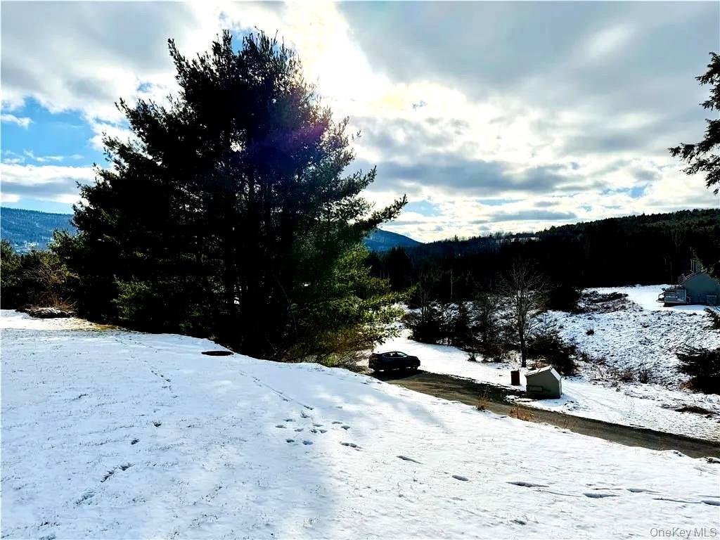 79 Windham Ridge Road # 17A, Windham, NY 12496