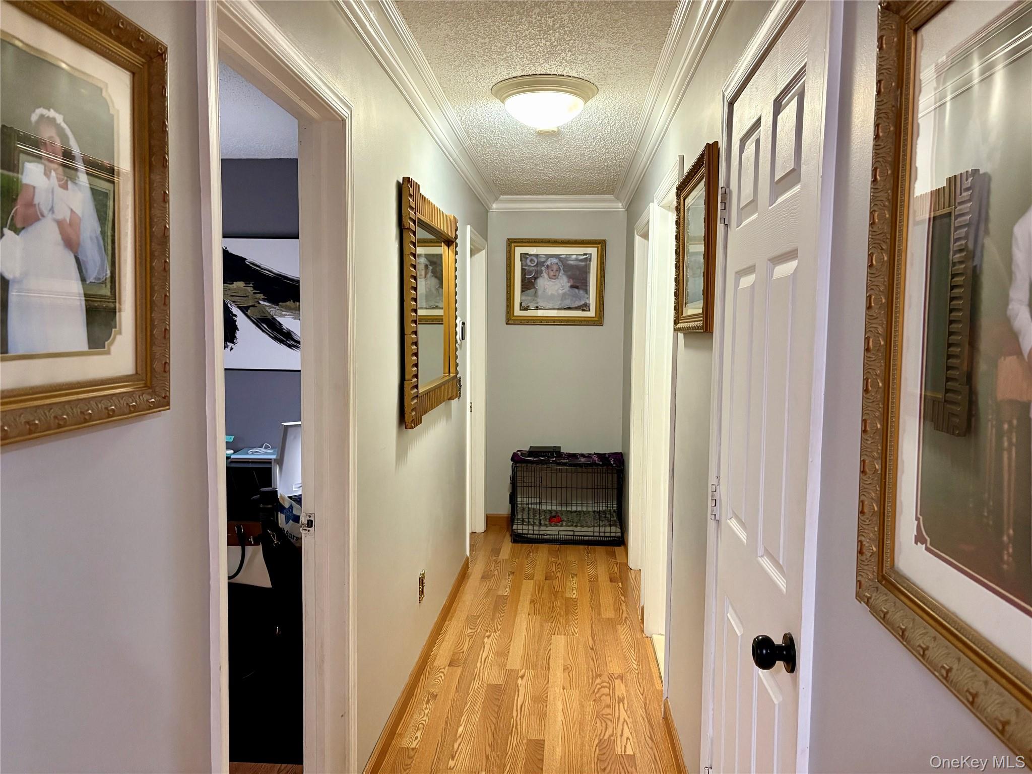 10 Joanna Place, Port Jefferson Station, NY 11776