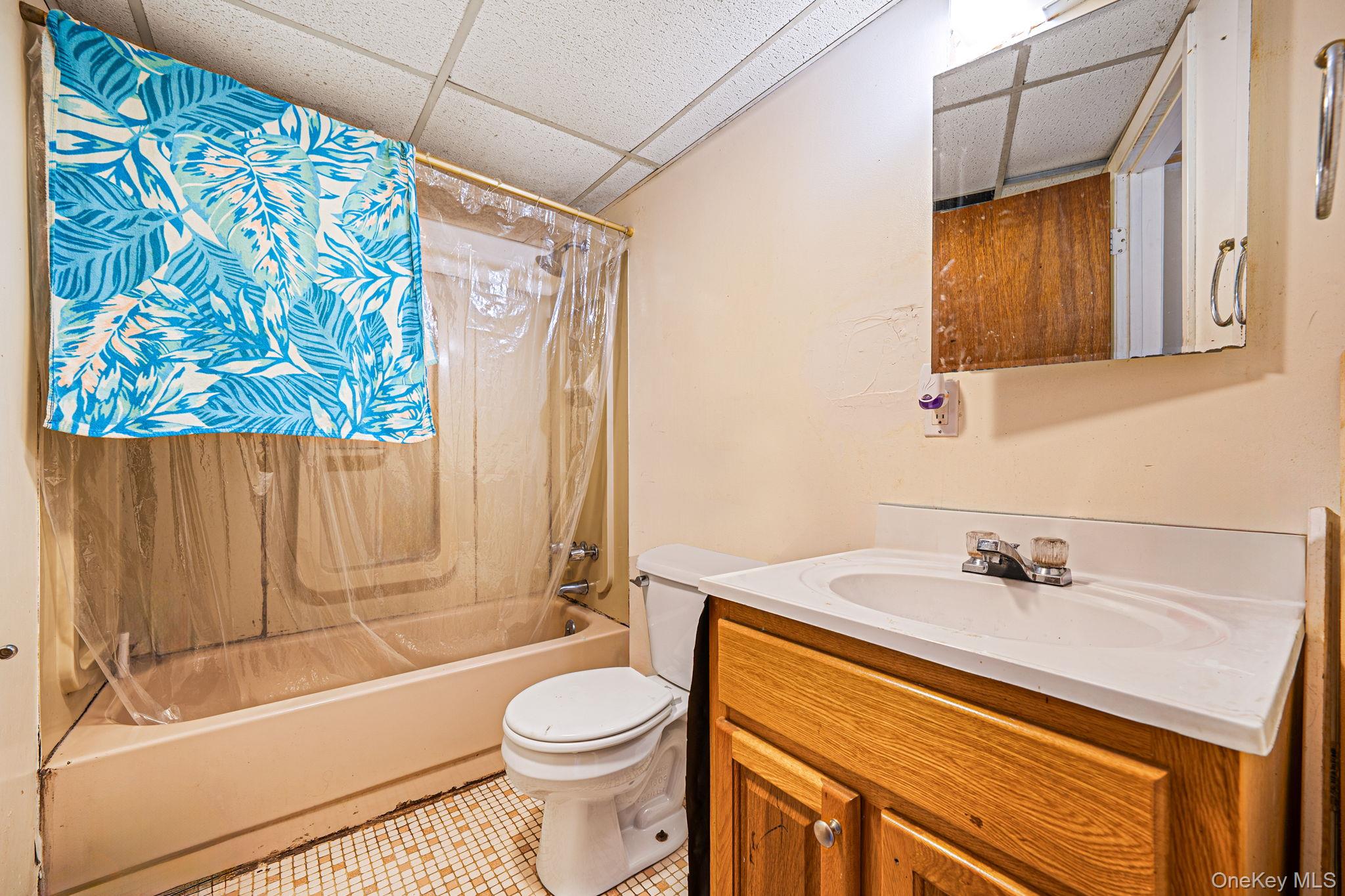 17 McKinley Avenue, Farmingdale, NY 11735