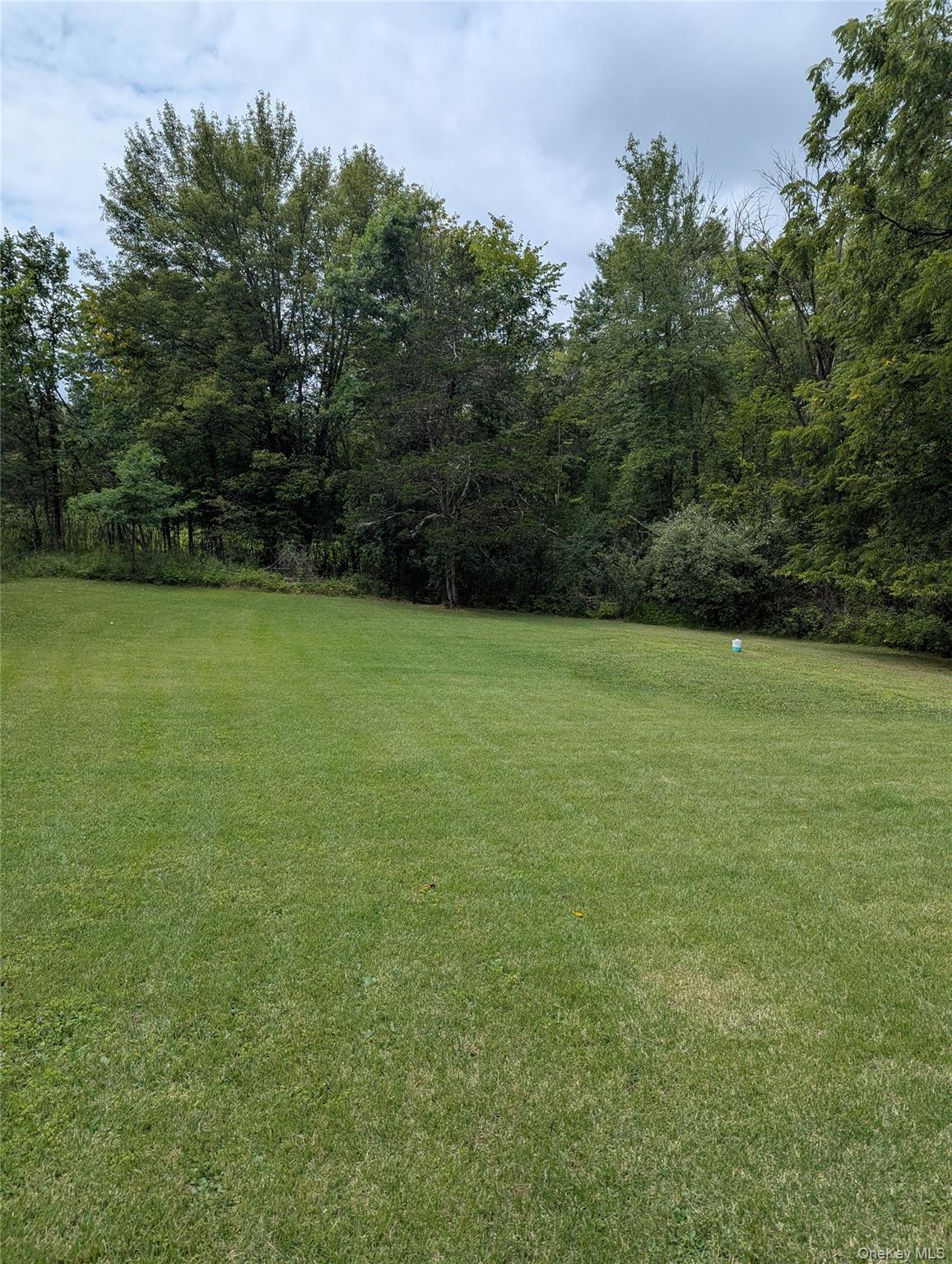 873 Hill Ave, Pine Bush, NY 12566