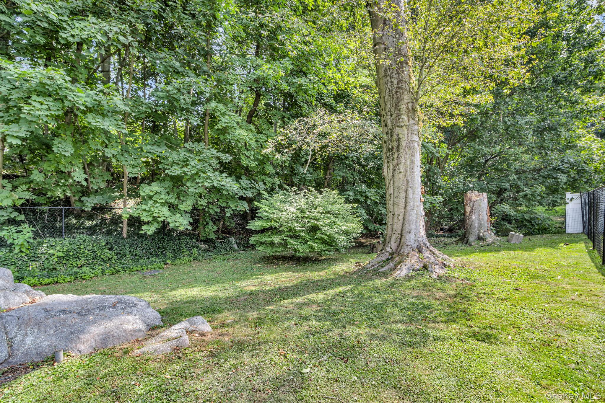 14 Coralyn Avenue, White Plains, NY 10605