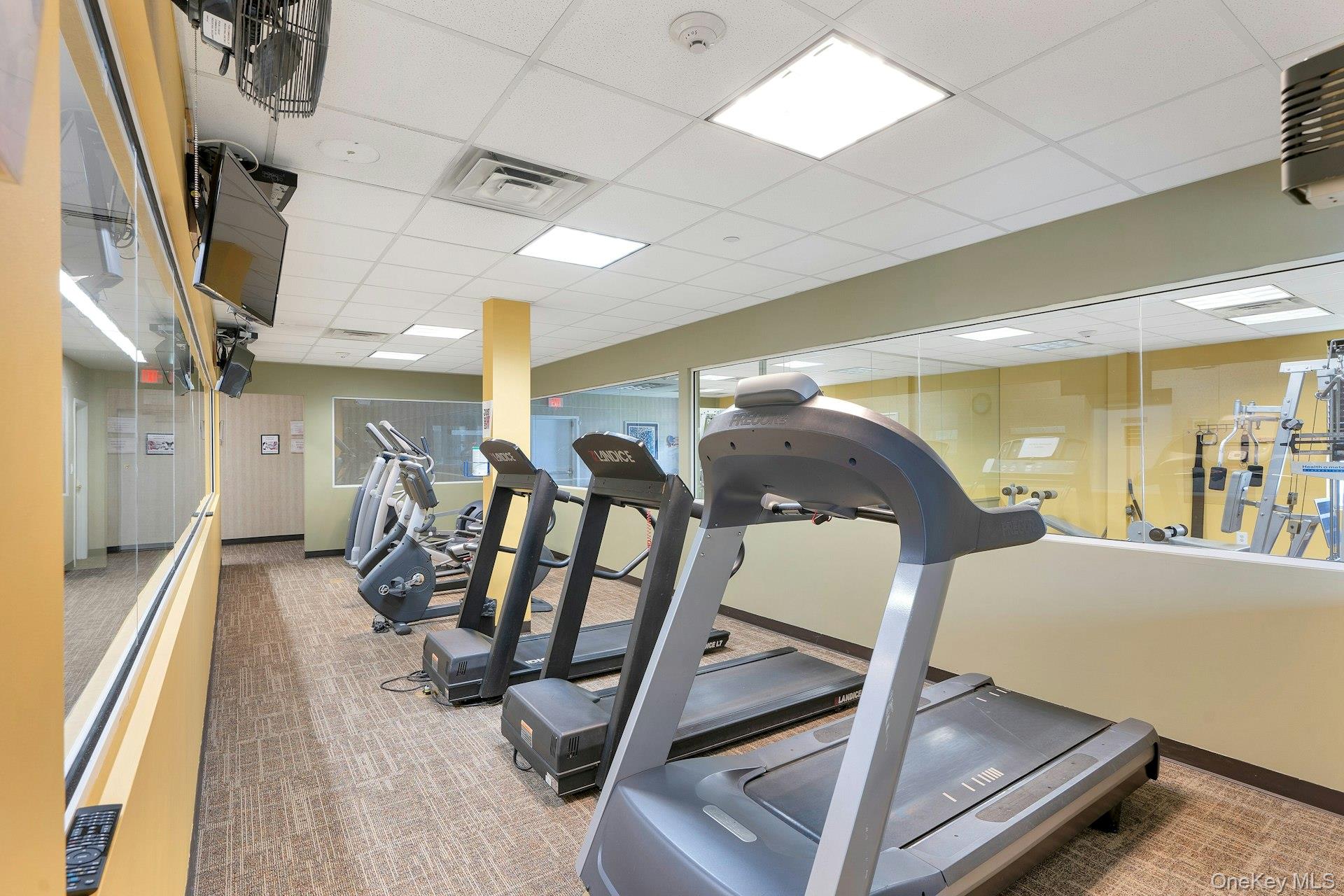 745 Spring Lake Drive, Middle Island, NY 11953