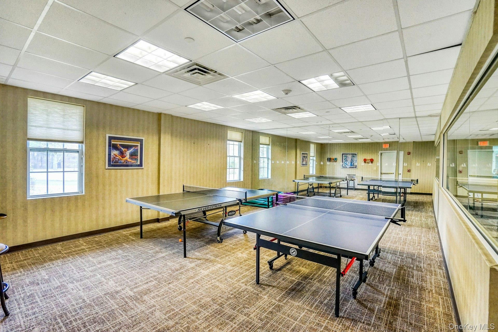 745 Spring Lake Drive, Middle Island, NY 11953