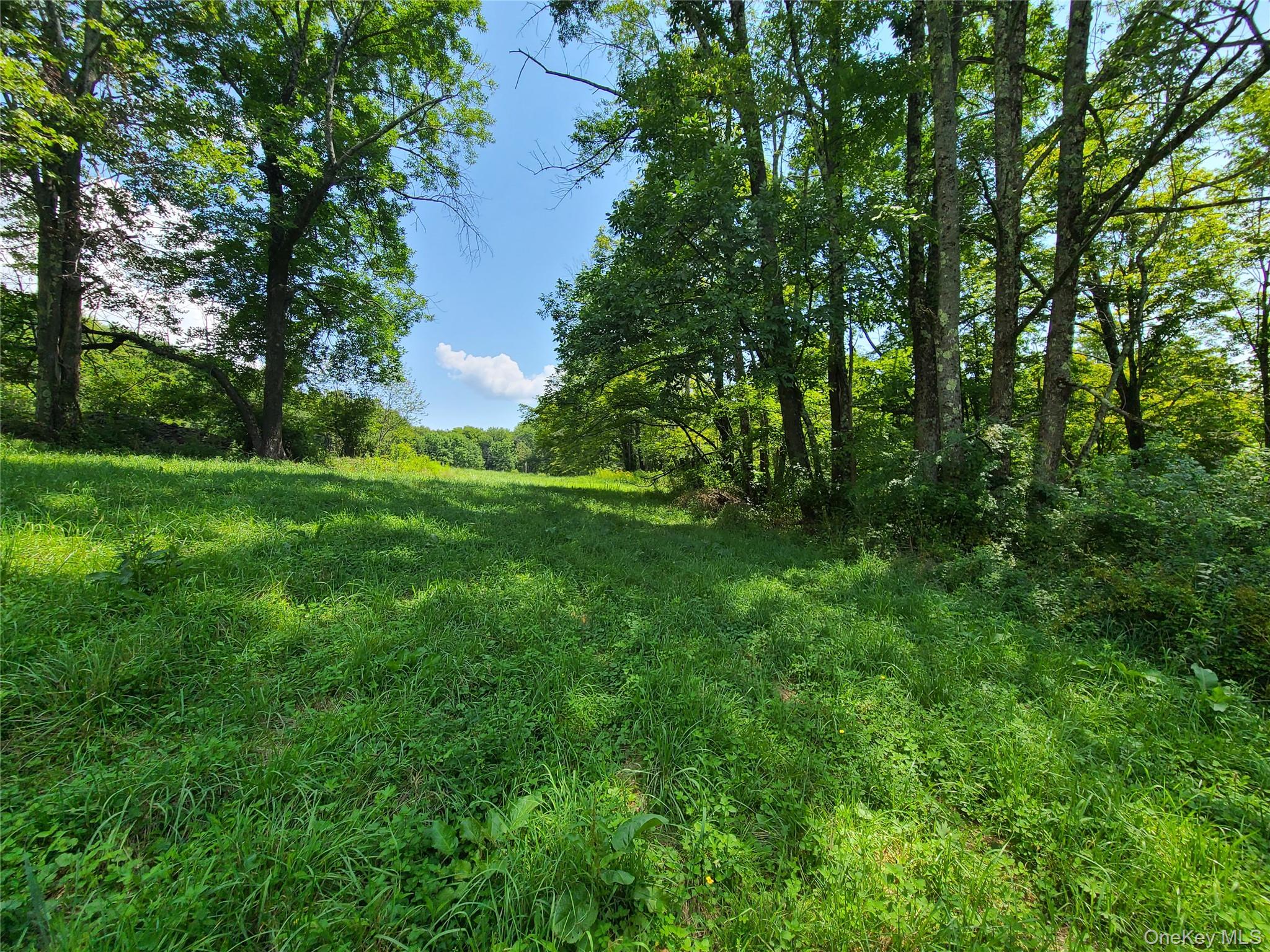 299-301 Stump Pond Road, Livingston Manor, NY 12758