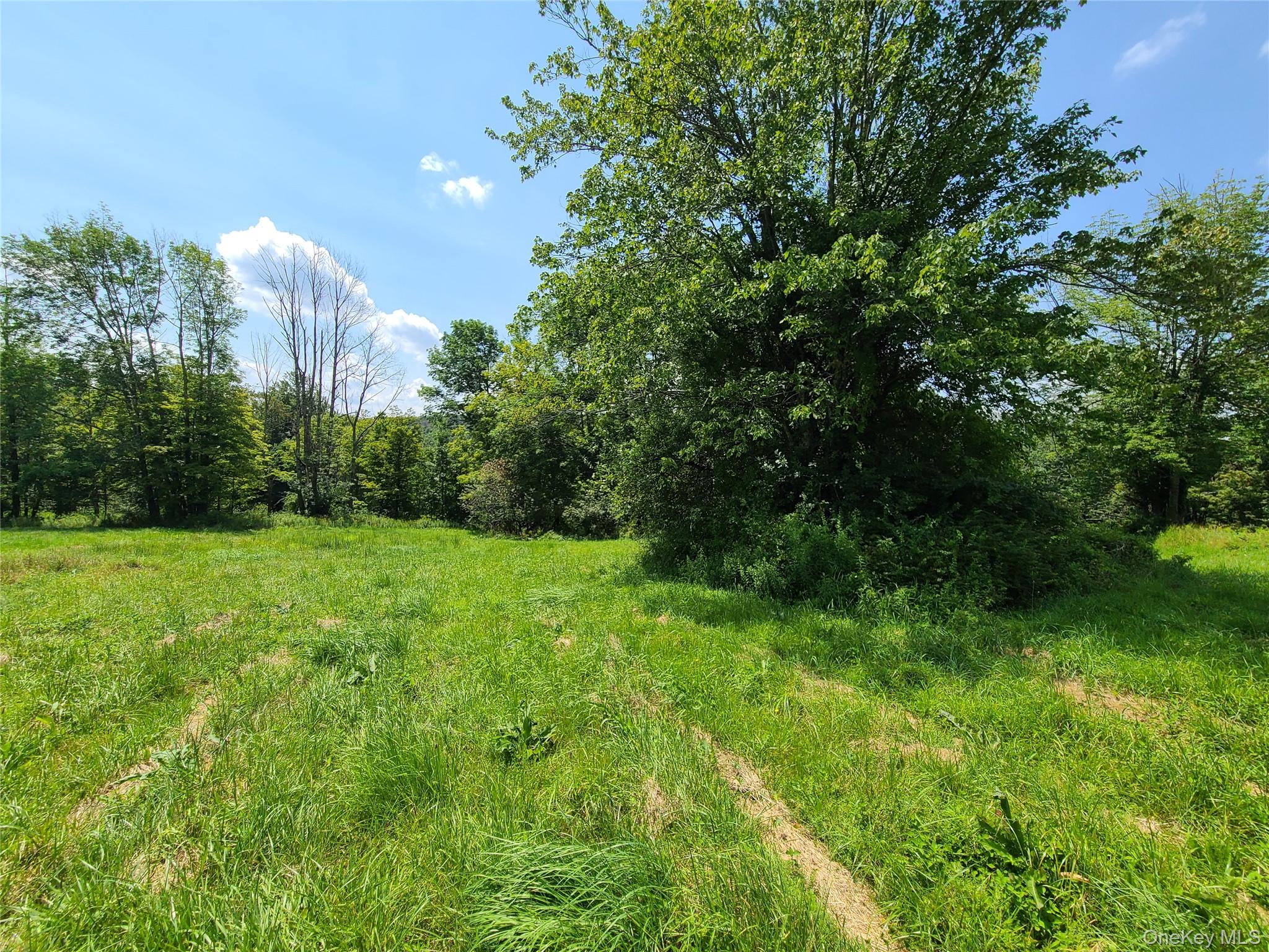 299-301 Stump Pond Road, Livingston Manor, NY 12758