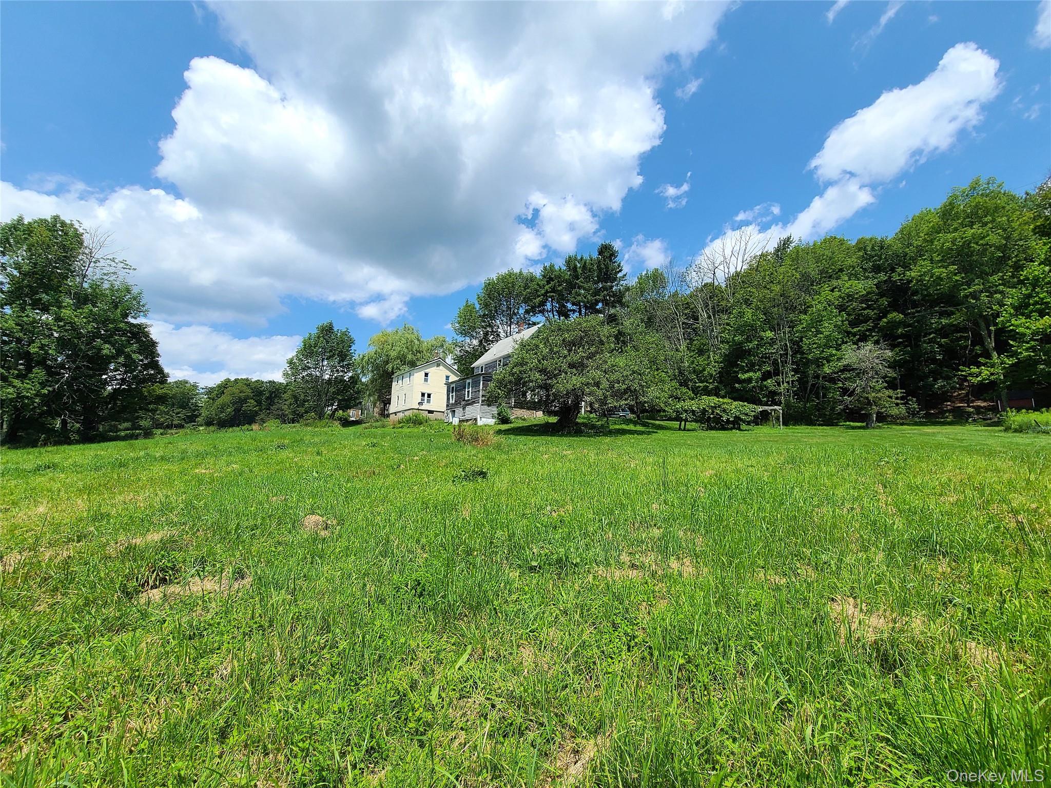 299-301 Stump Pond Road, Livingston Manor, NY 12758