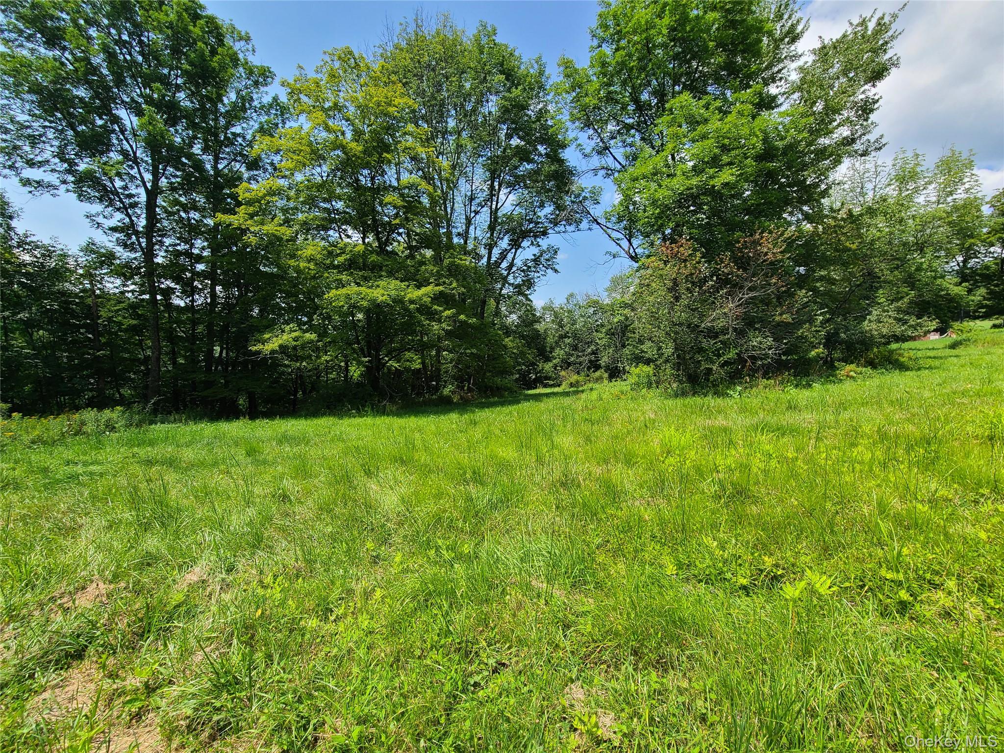 299-301 Stump Pond Road, Livingston Manor, NY 12758