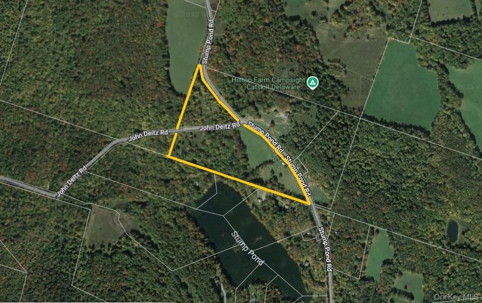 299-301 Stump Pond Road, Livingston Manor, NY 12758