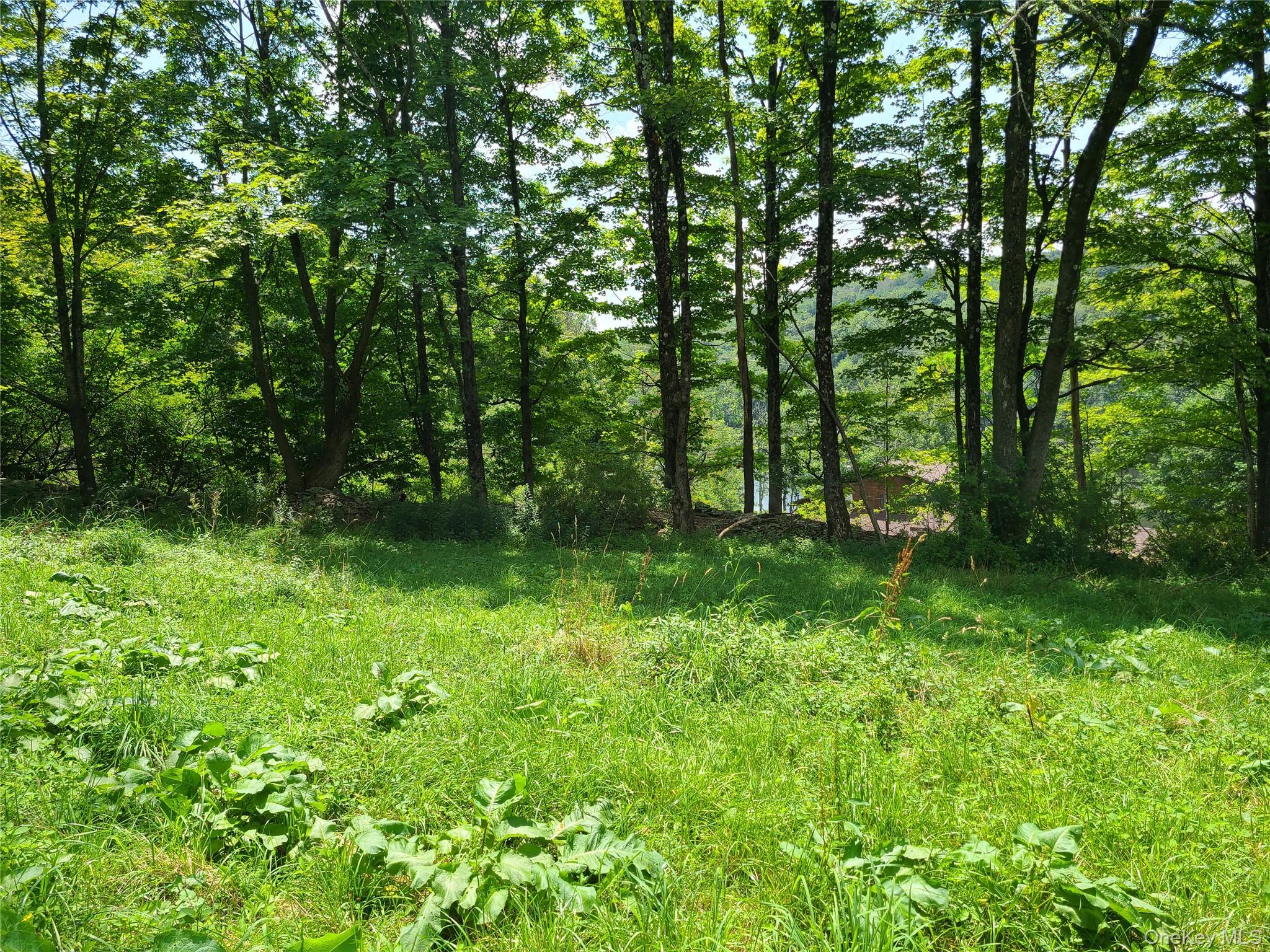 299-301 Stump Pond Road, Livingston Manor, NY 12758