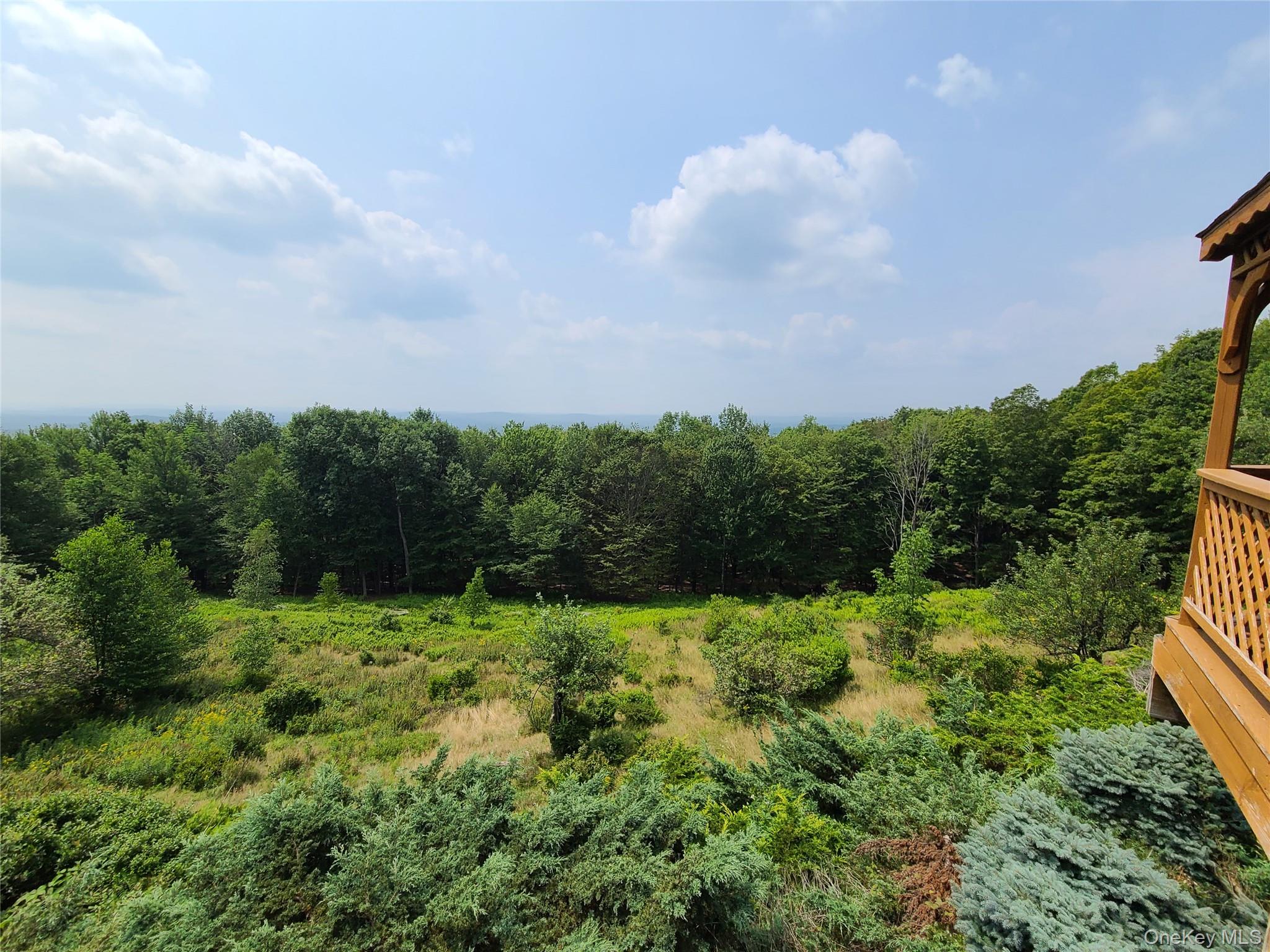 203 Skyline Drive, Woodbourne, NY 12788