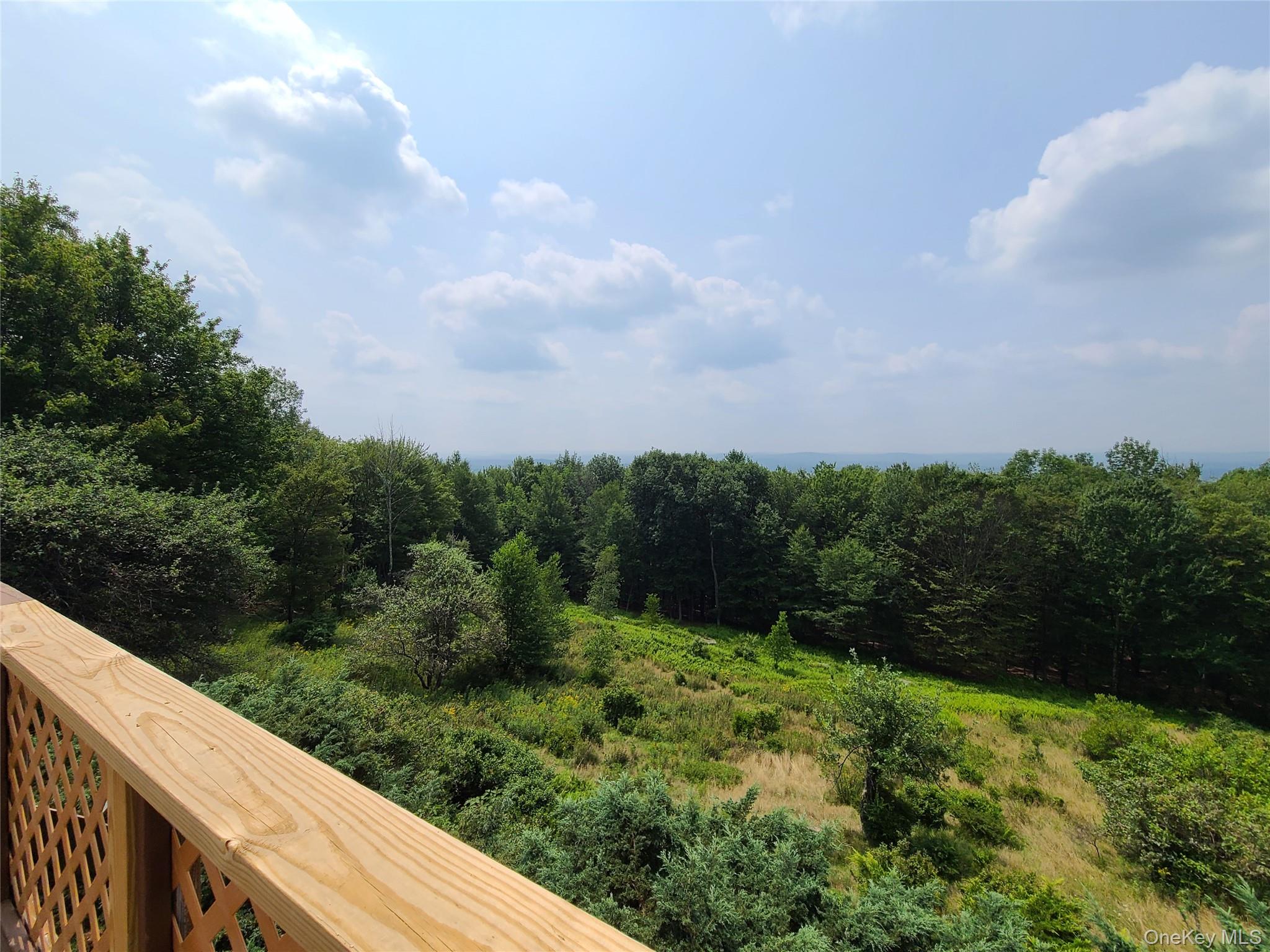 203 Skyline Drive, Woodbourne, NY 12788