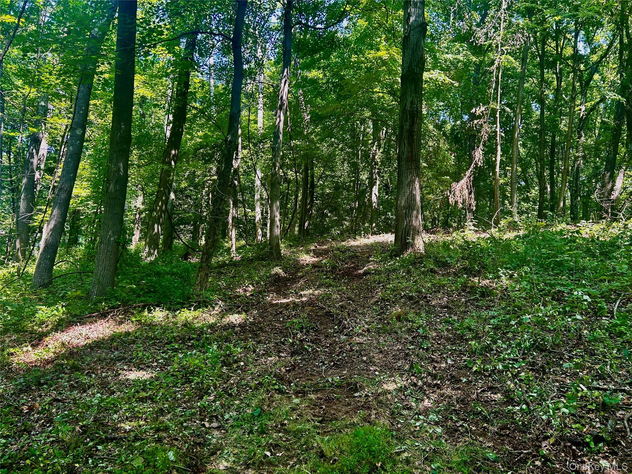 109 Deer Run Road, Red Hook, NY 12571