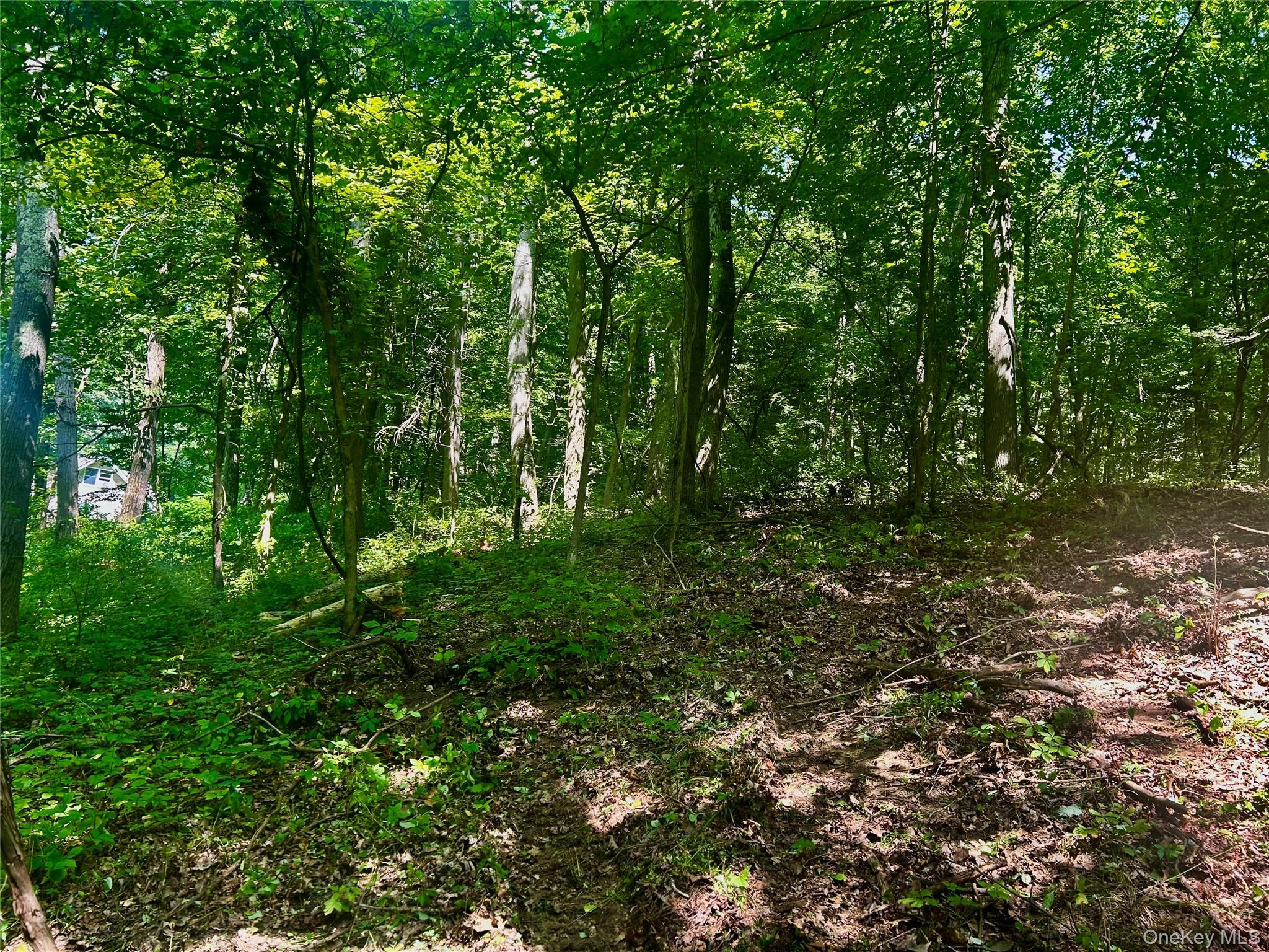 109 Deer Run Road, Red Hook, NY 12571