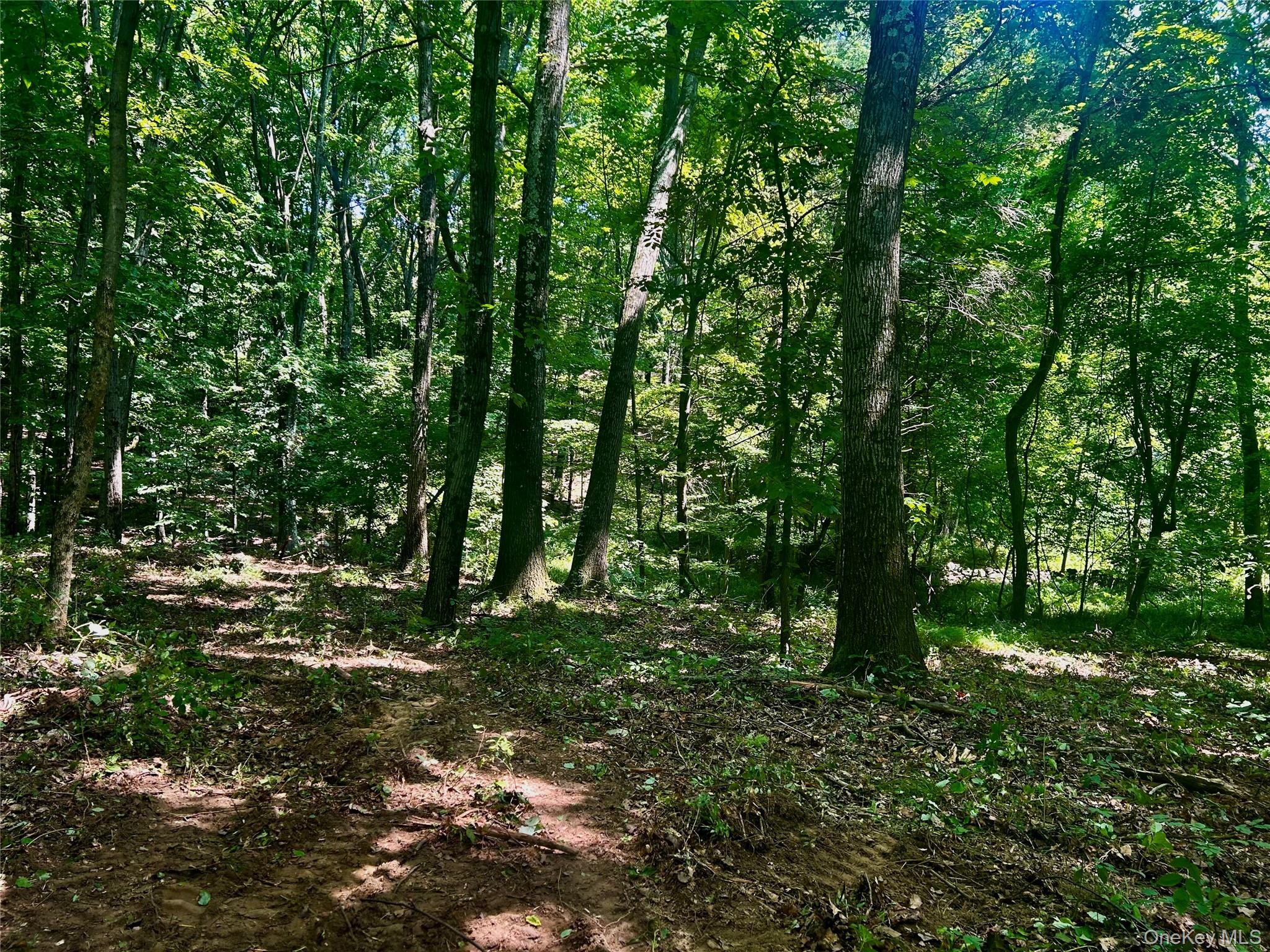 109 Deer Run Road, Red Hook, NY 12571