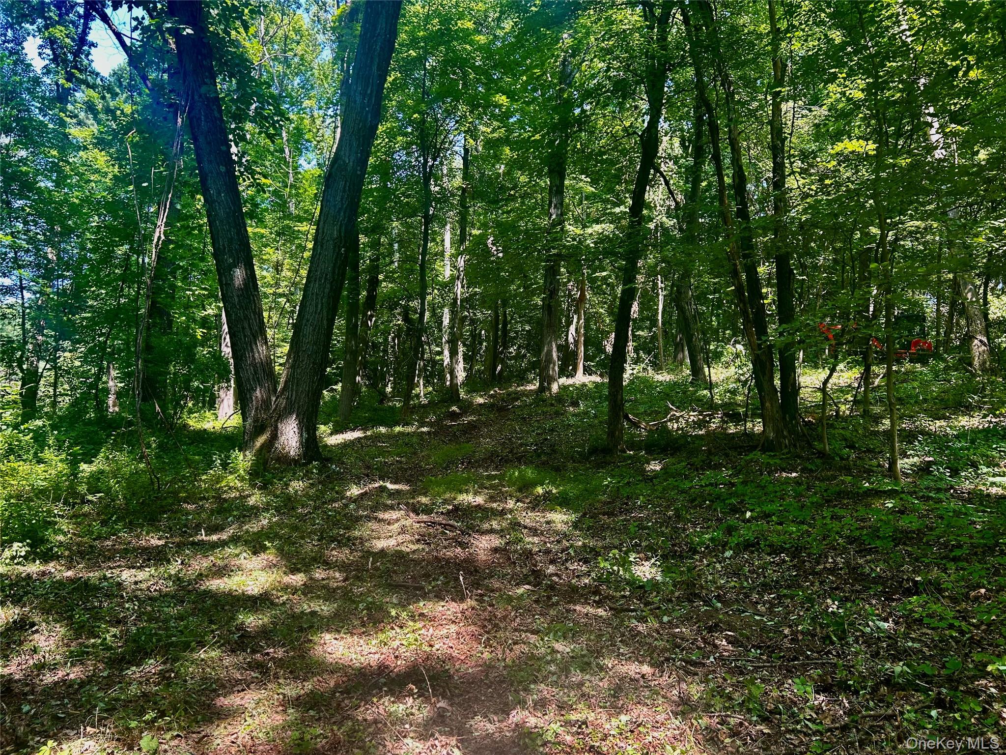 109 Deer Run Road, Red Hook, NY 12571