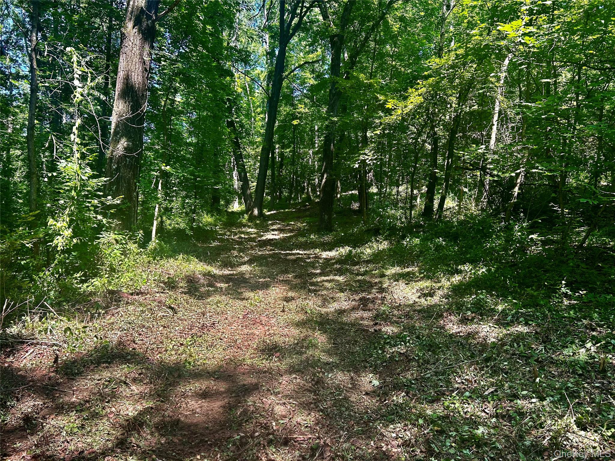 109 Deer Run Road, Red Hook, NY 12571