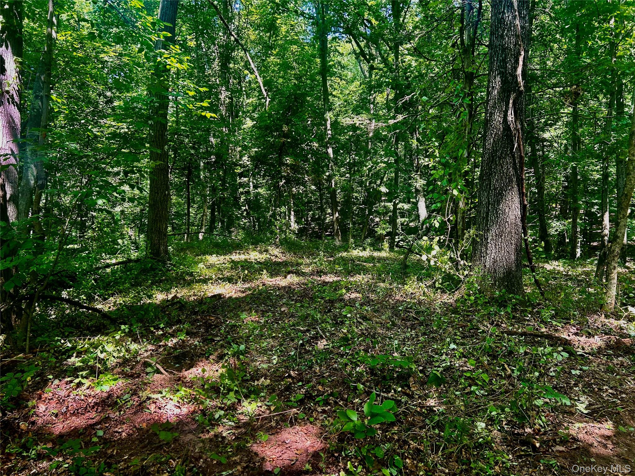 109 Deer Run Road, Red Hook, NY 12571