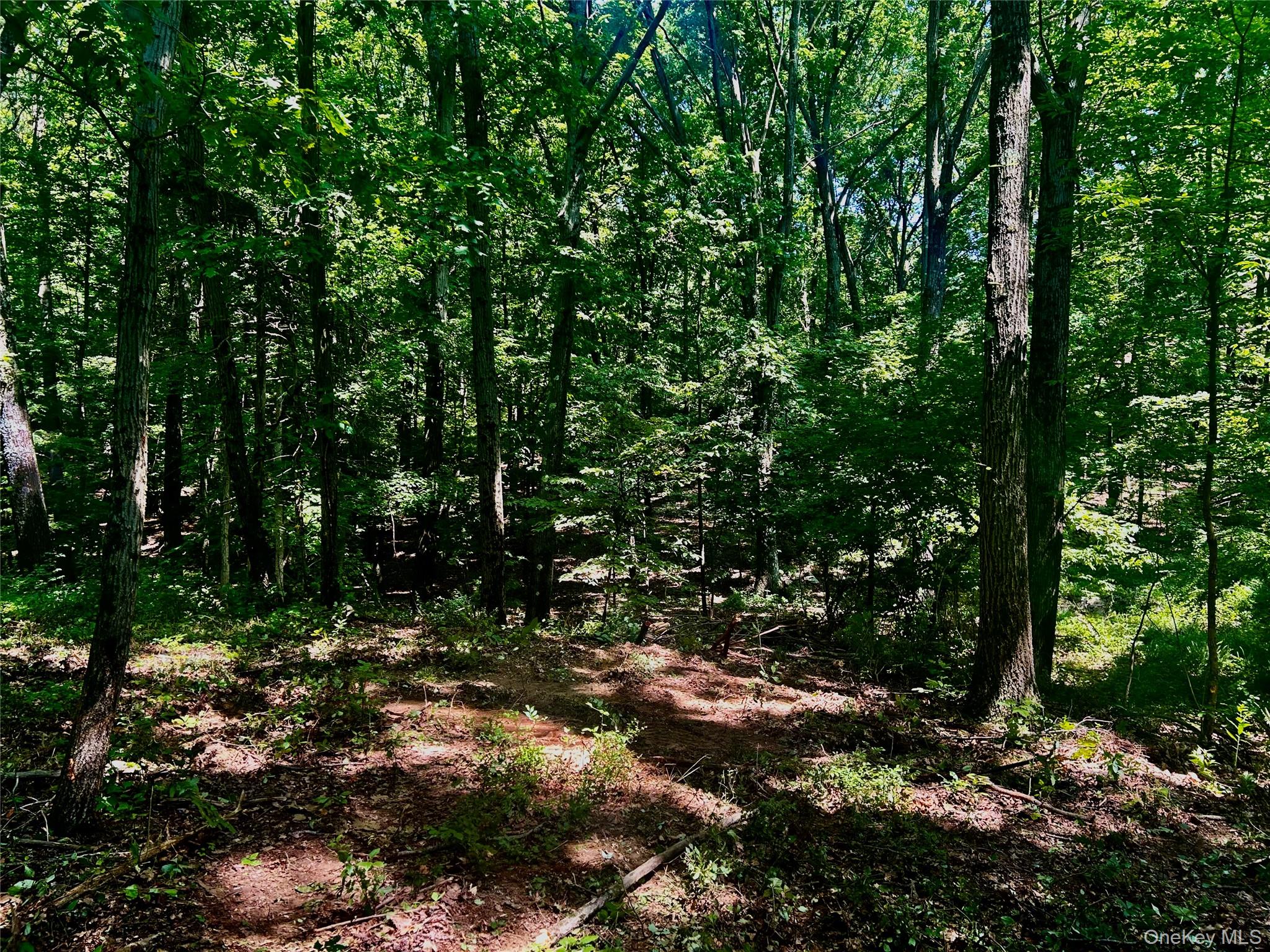 109 Deer Run Road, Red Hook, NY 12571