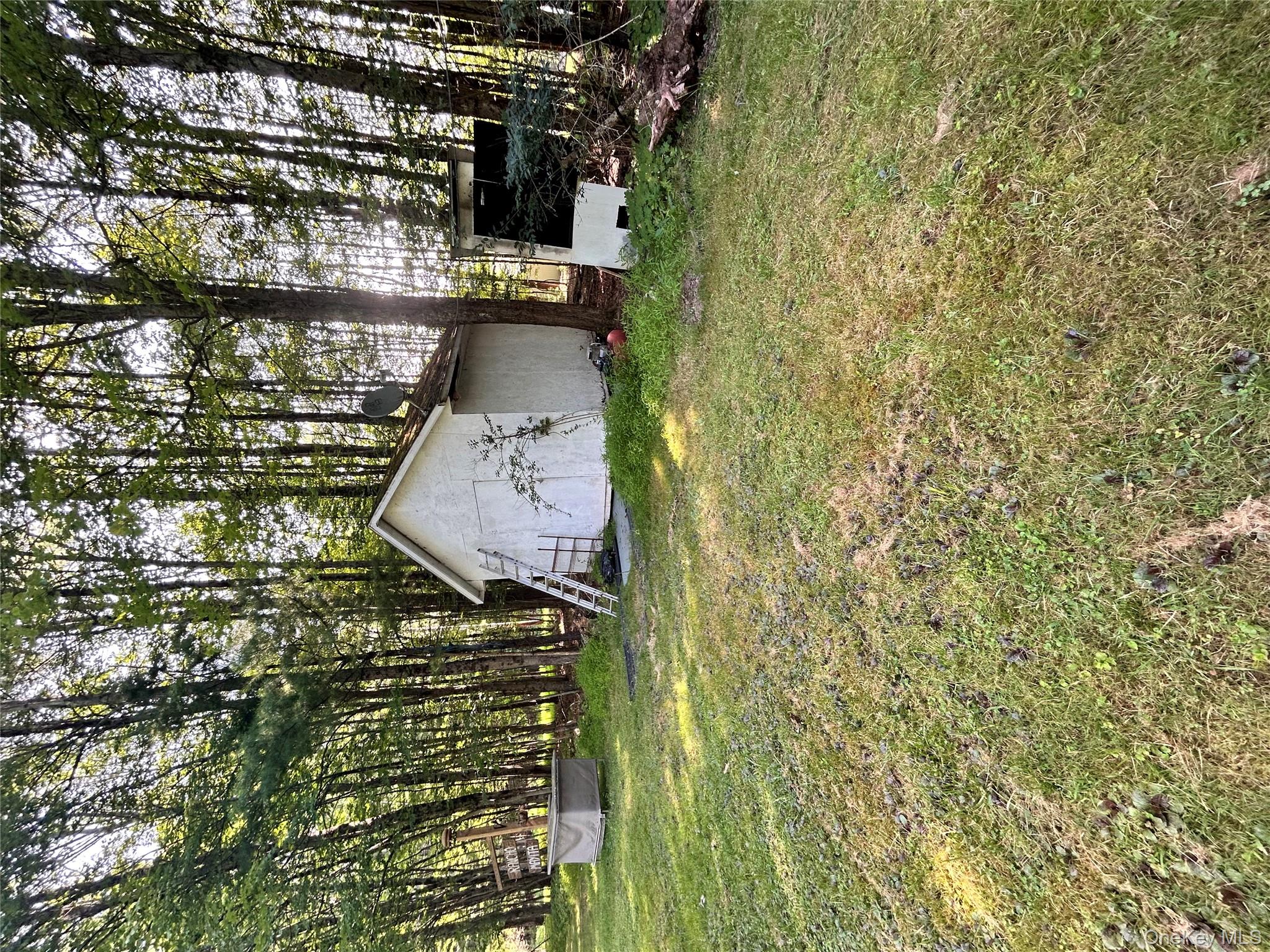 98 Buff Road, Cochecton, NY 12726