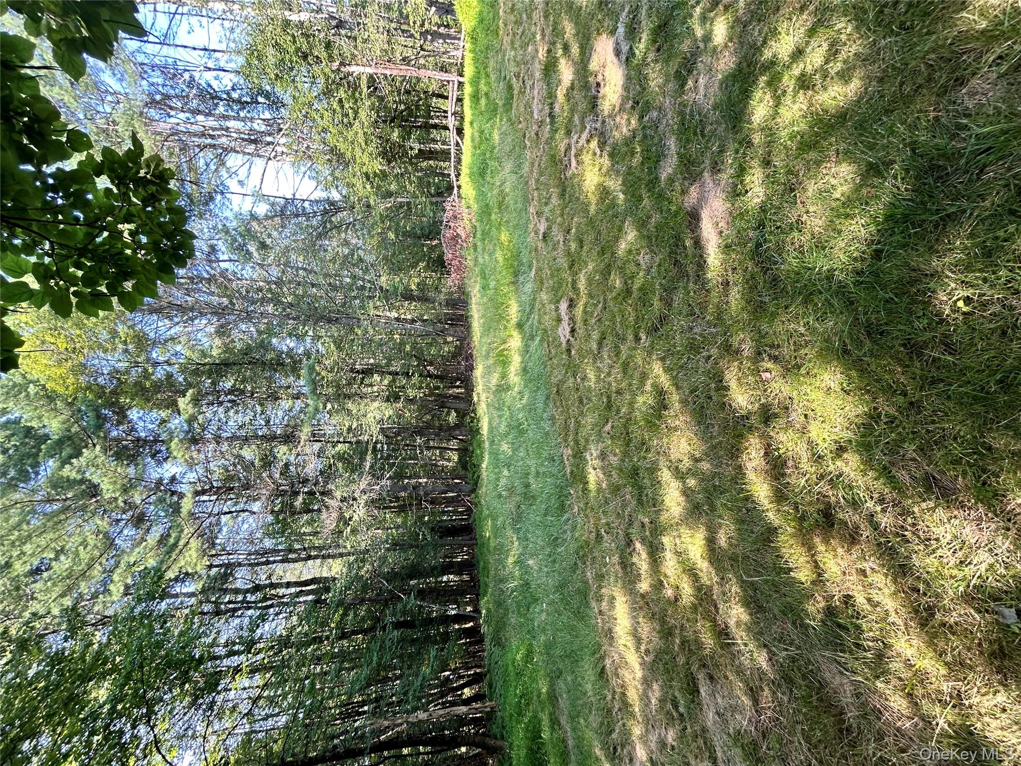 98 Buff Road, Cochecton, NY 12726