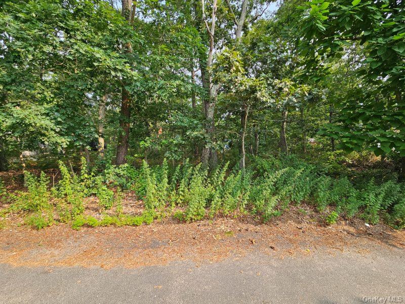 51 Shore Road, Hampton Bays, NY 11946