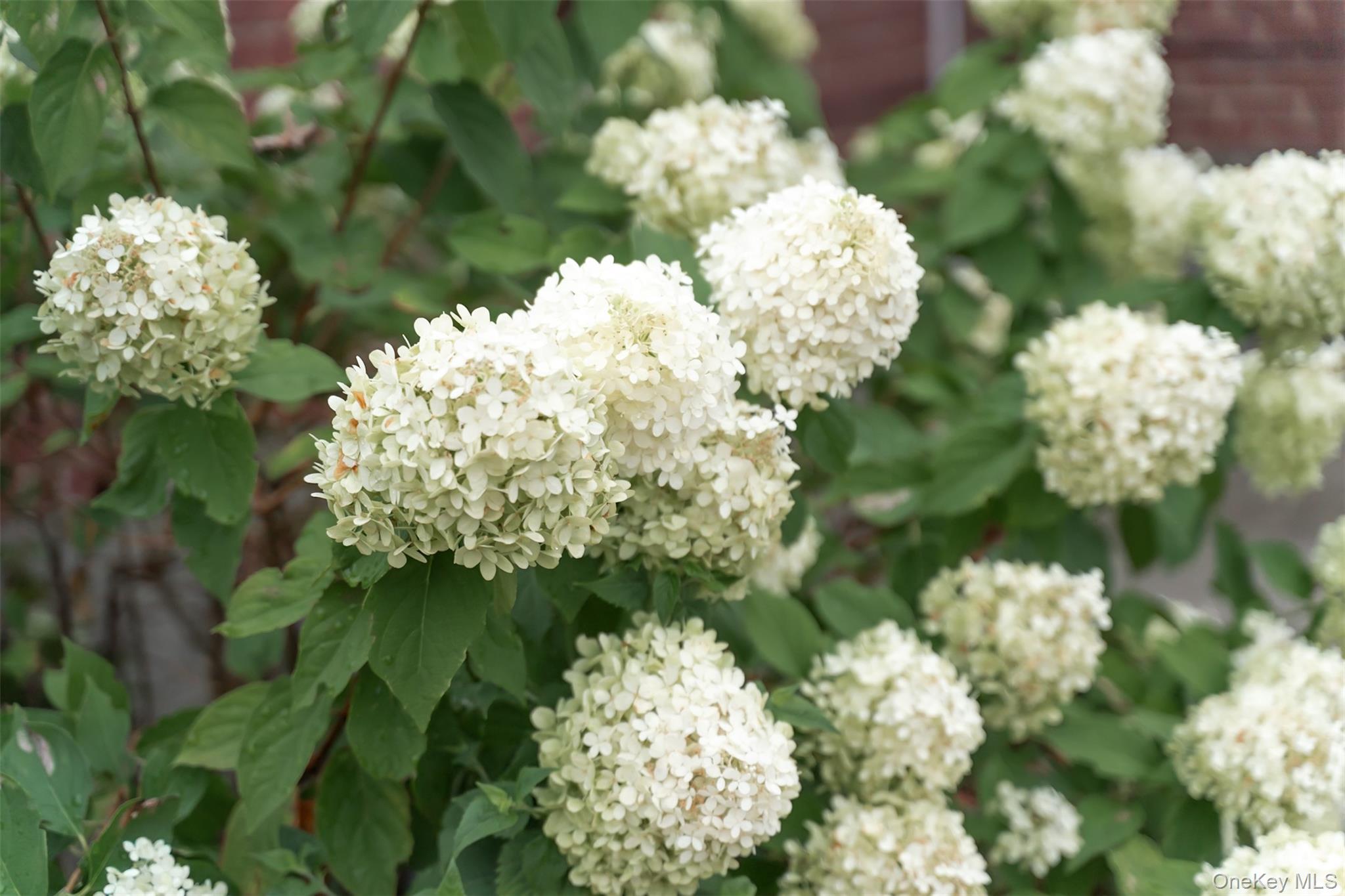 12043 194th Street, Saint Albans, NY 11412