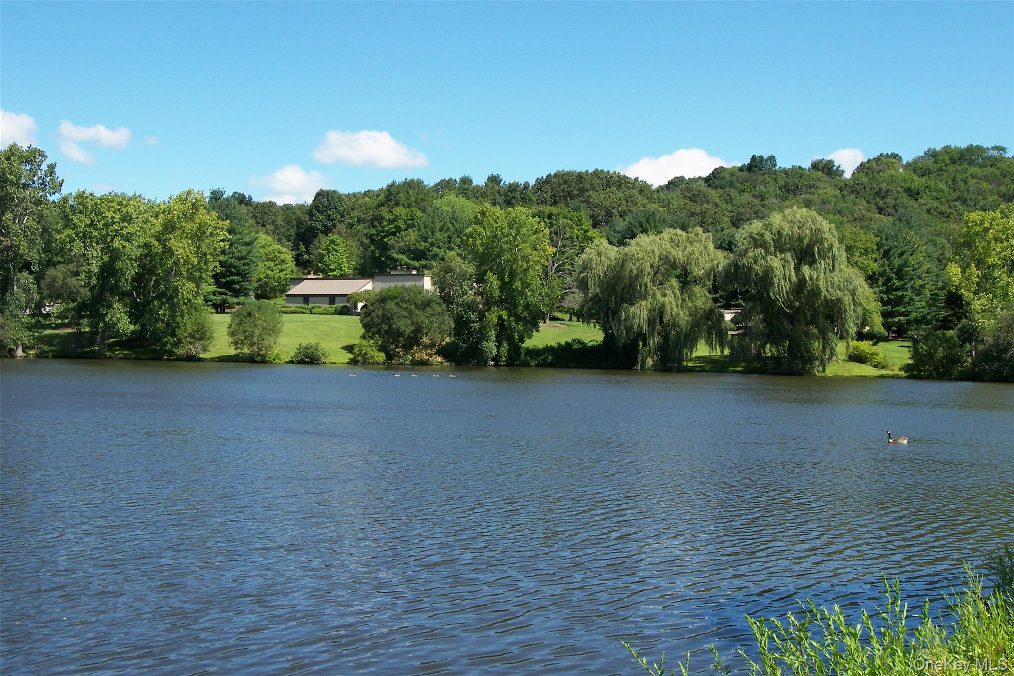 798 Heritage Hills Drive # D, Somers, NY 10589