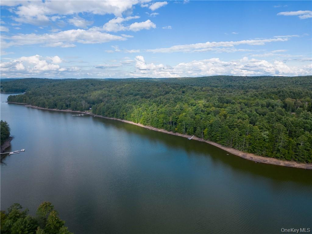 497 Woodstone Trail, Lumberland, NY 12737