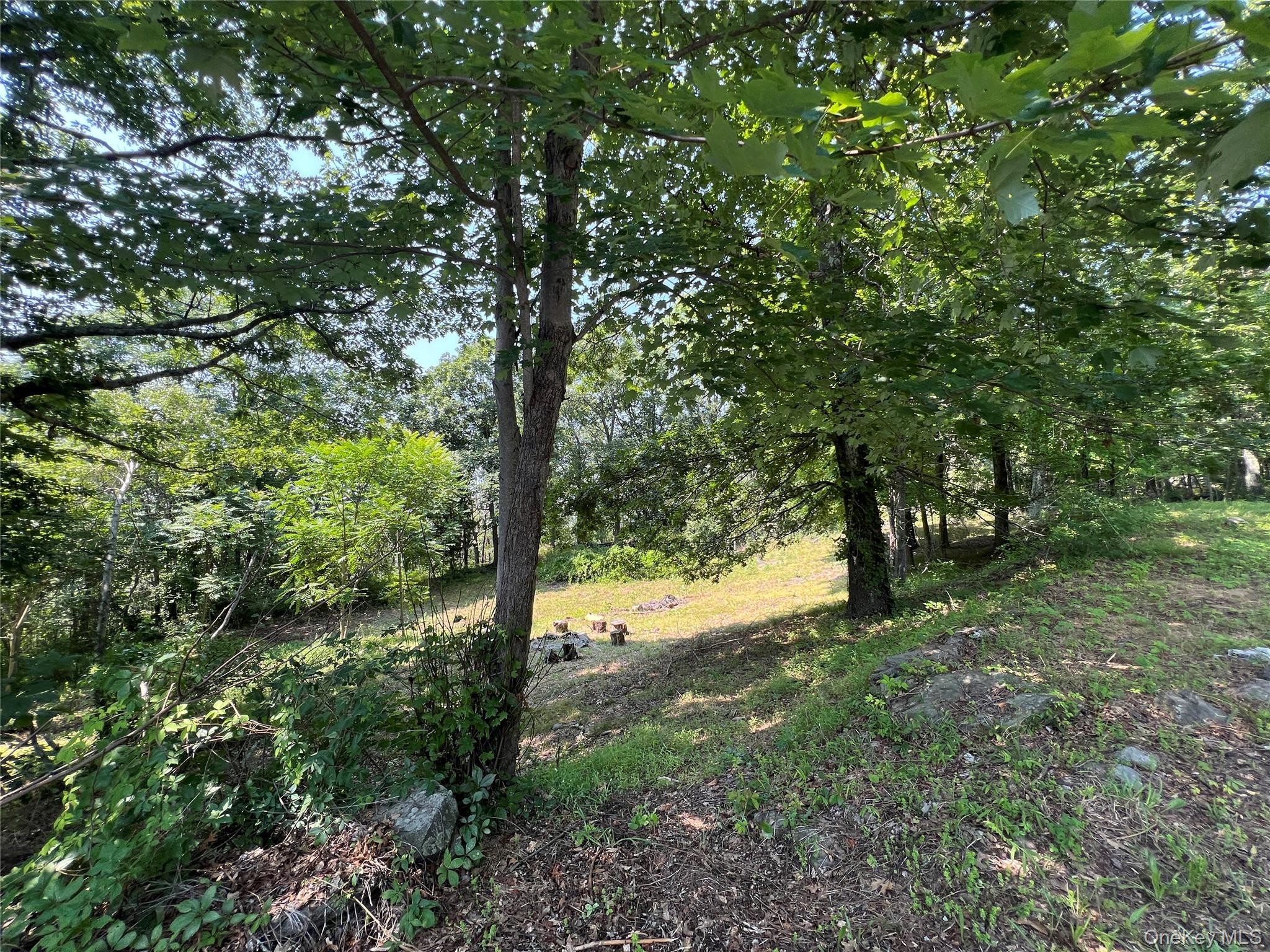 498 Rossway Road, Lagrangeville, NY 12540