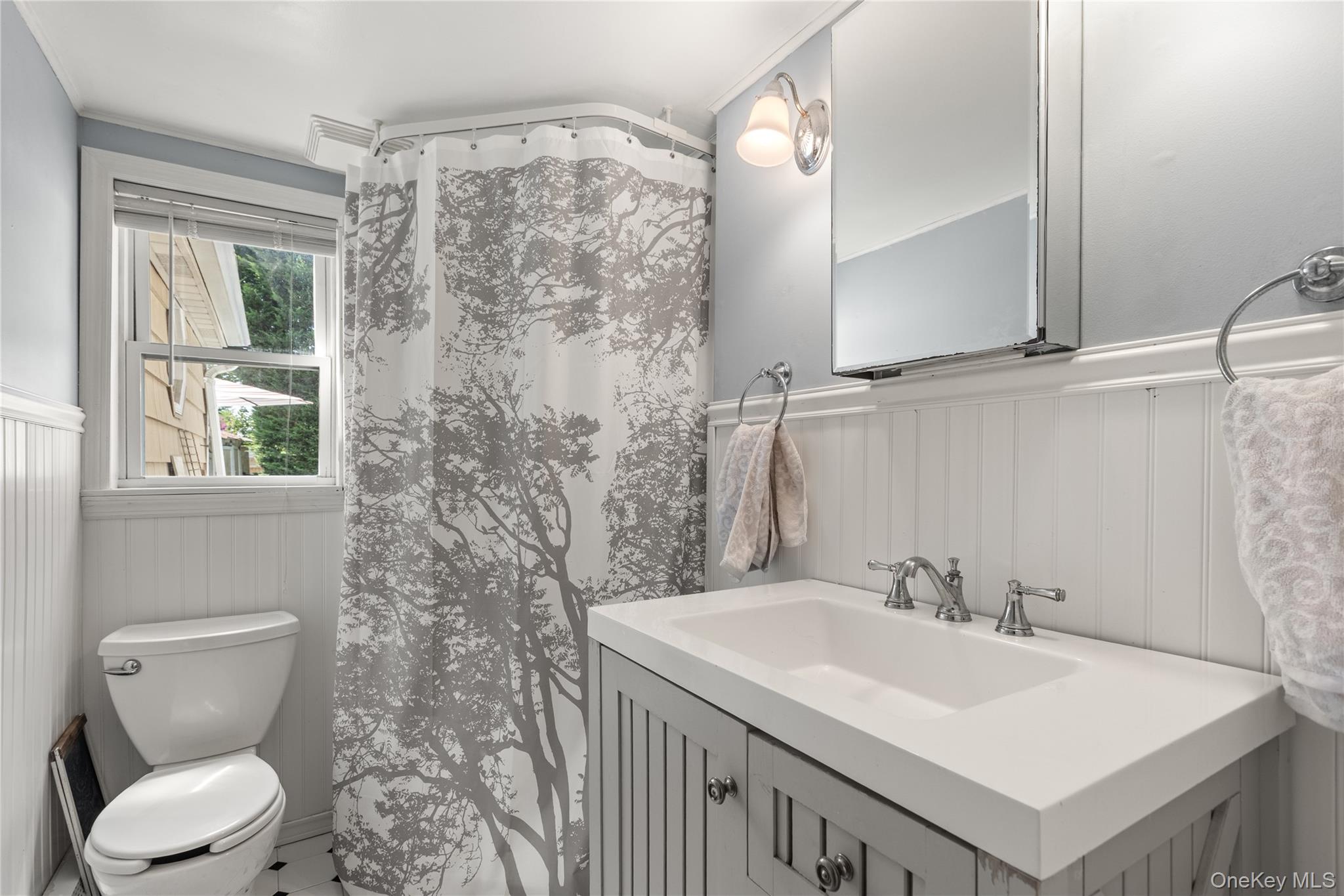 8 Riverside Street, Amityville, NY 11701