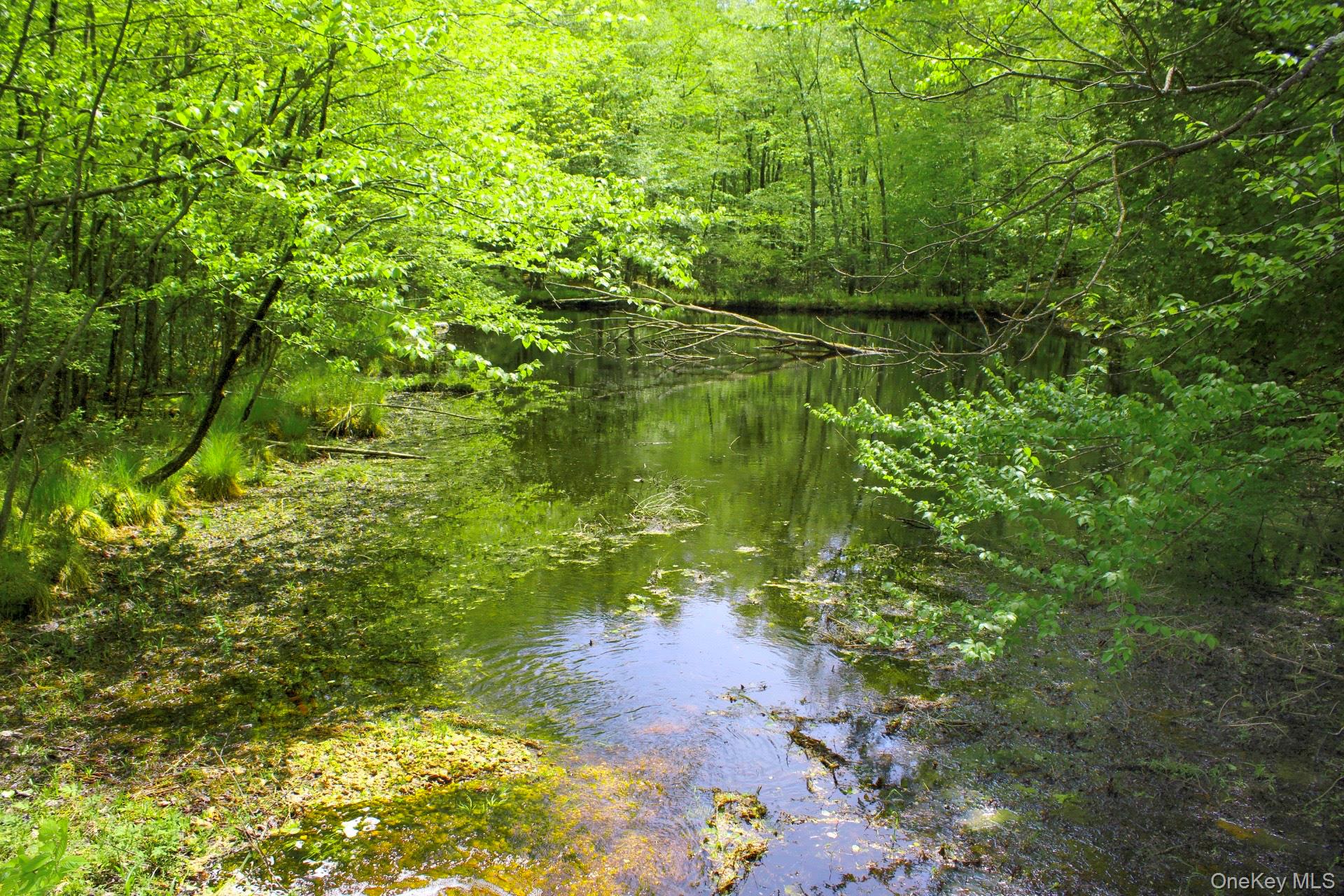 3751 State Route 52, Pine Bush, NY 12566