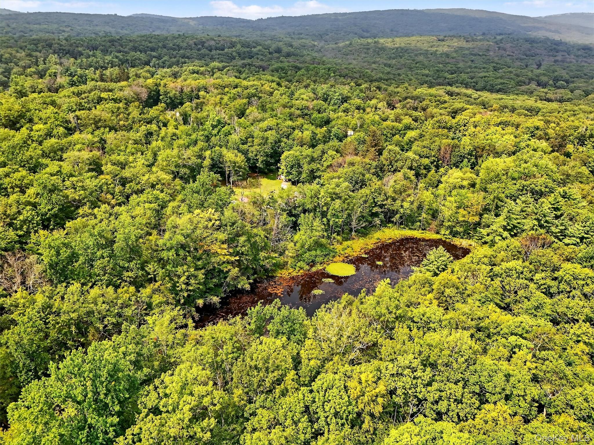 3751 State Route 52, Pine Bush, NY 12566