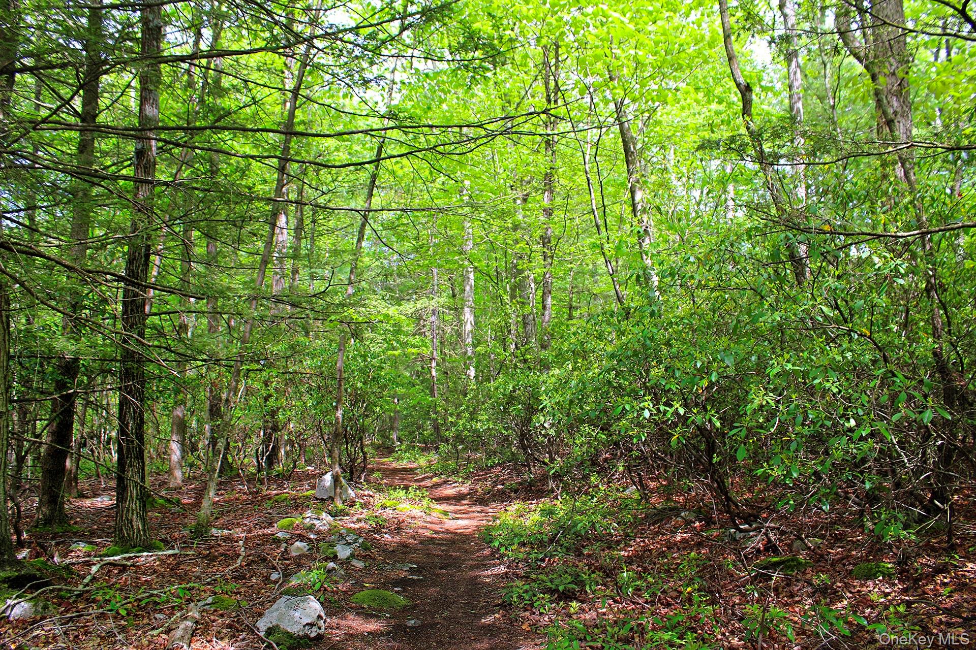 3751 State Route 52, Pine Bush, NY 12566