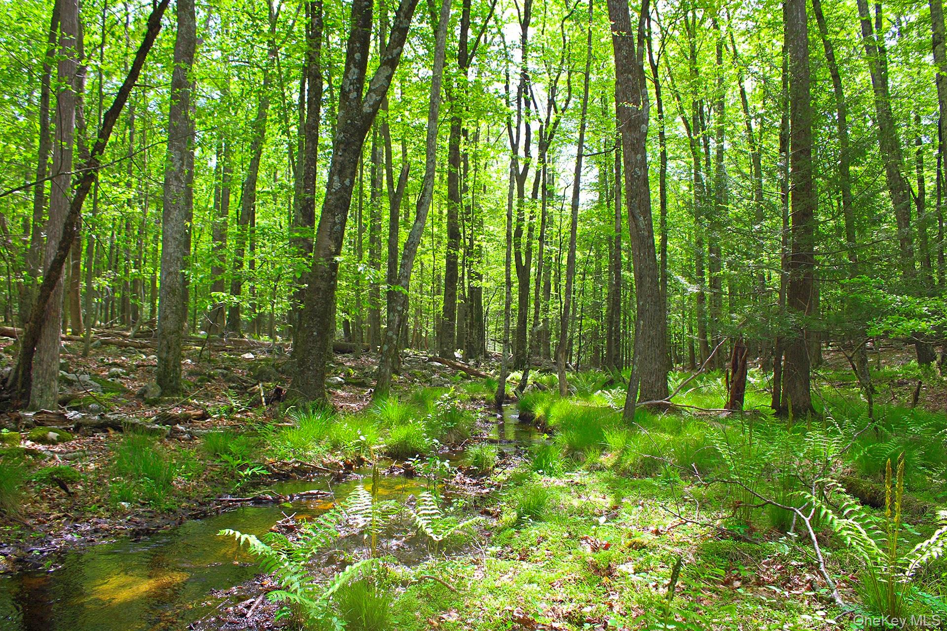 3751 State Route 52, Pine Bush, NY 12566