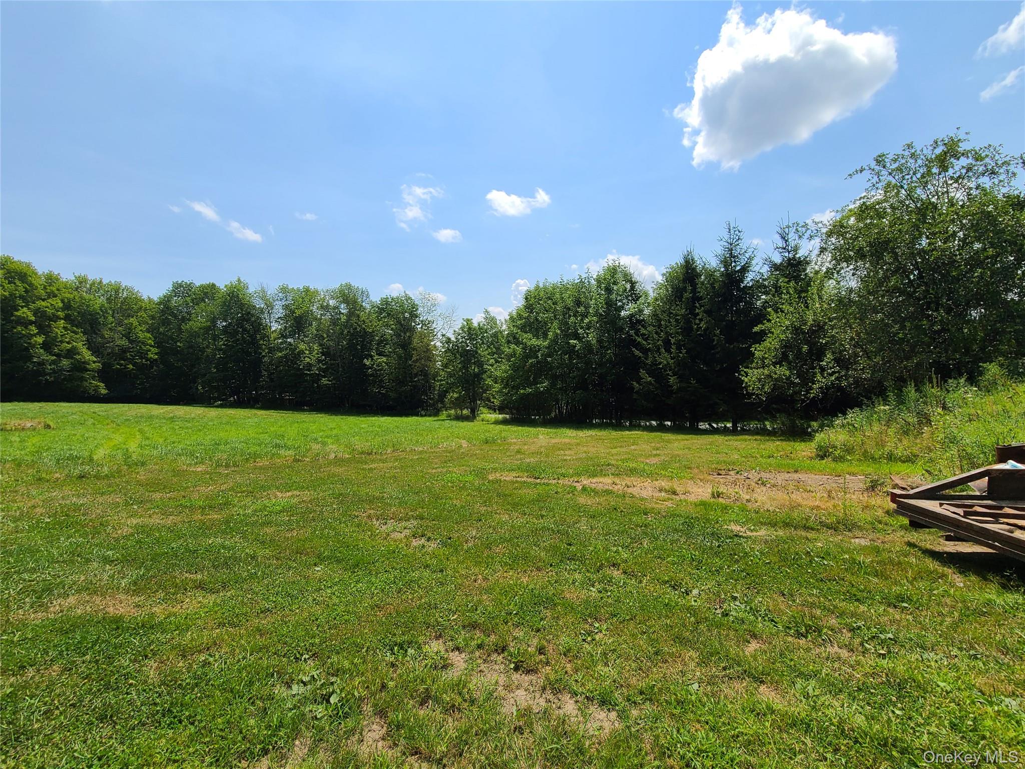 Stump Pond Road, Livingston Manor, NY 12758