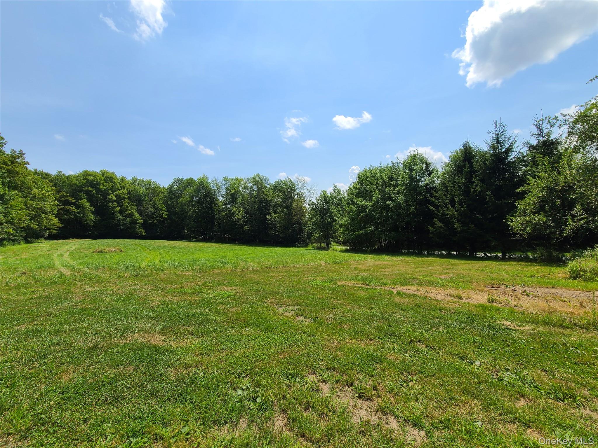 Stump Pond Road, Livingston Manor, NY 12758