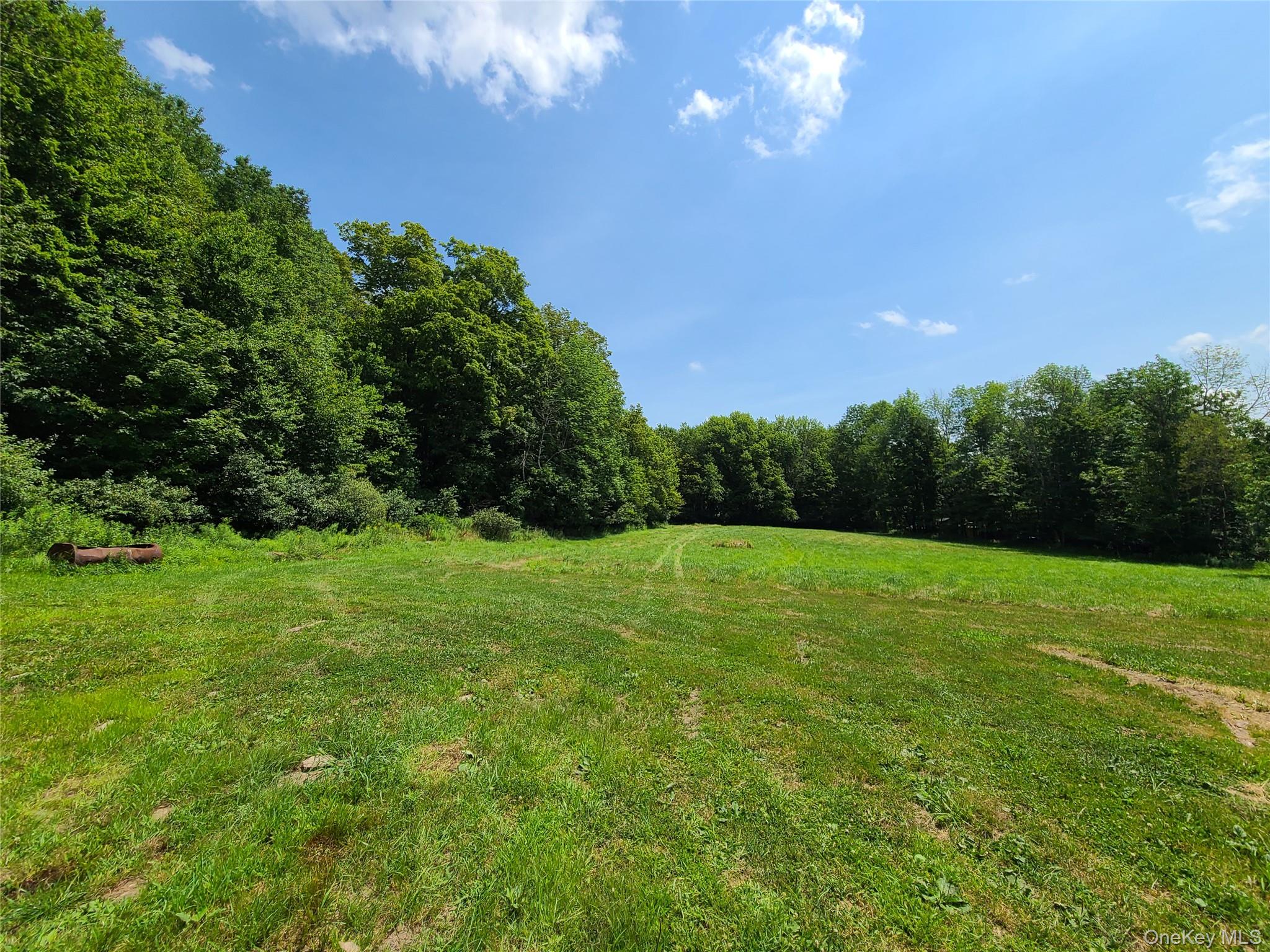 Stump Pond Road, Livingston Manor, NY 12758