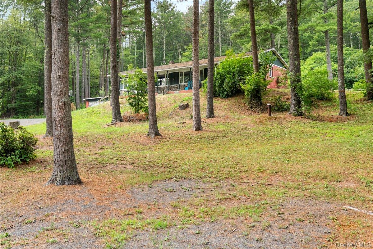 24 Alpine Drive, Cairo, NY 12473