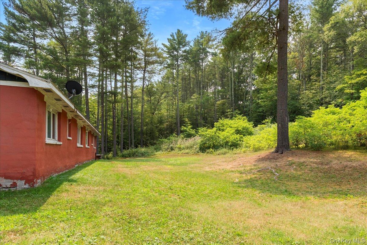 24 Alpine Drive, Cairo, NY 12473