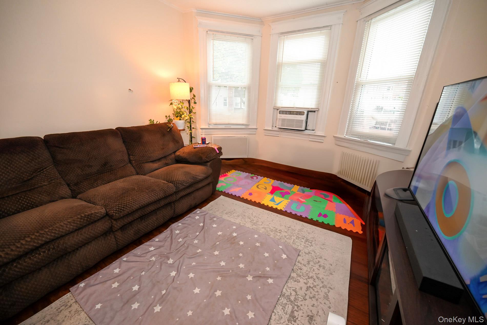 6062 Flushing Avenue, Maspeth, NY 11378