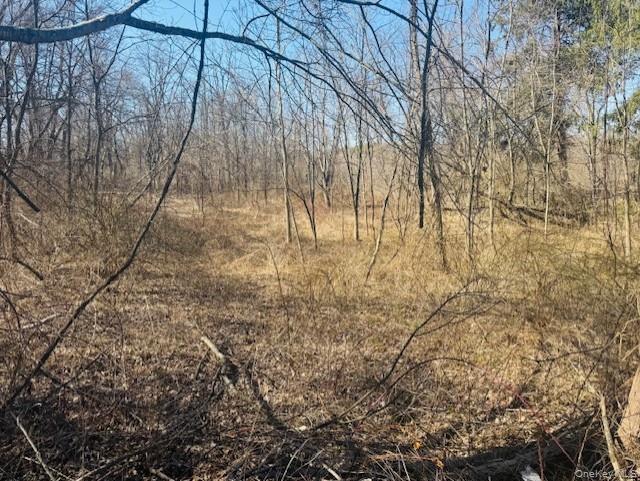 0 cramer Road, Poughkeepsie, NY 12603