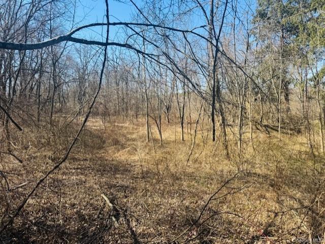 0 cramer Road, Poughkeepsie, NY 12603