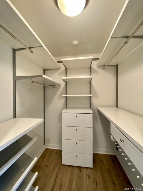 100 Vista View Drive # 1306, Farmingville, NY 11738