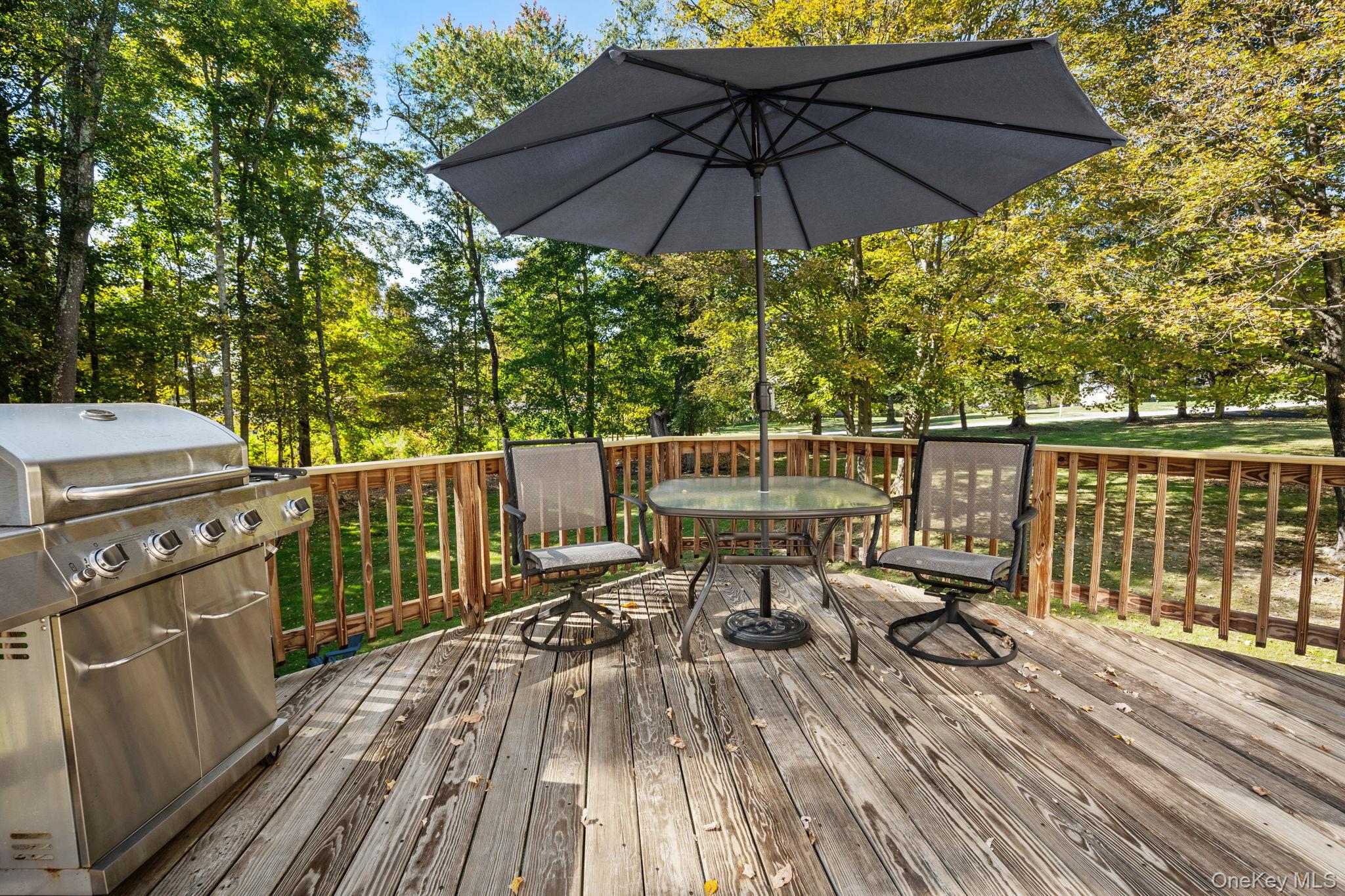 11 Old Martin Road, Hopewell Junction, NY 12533