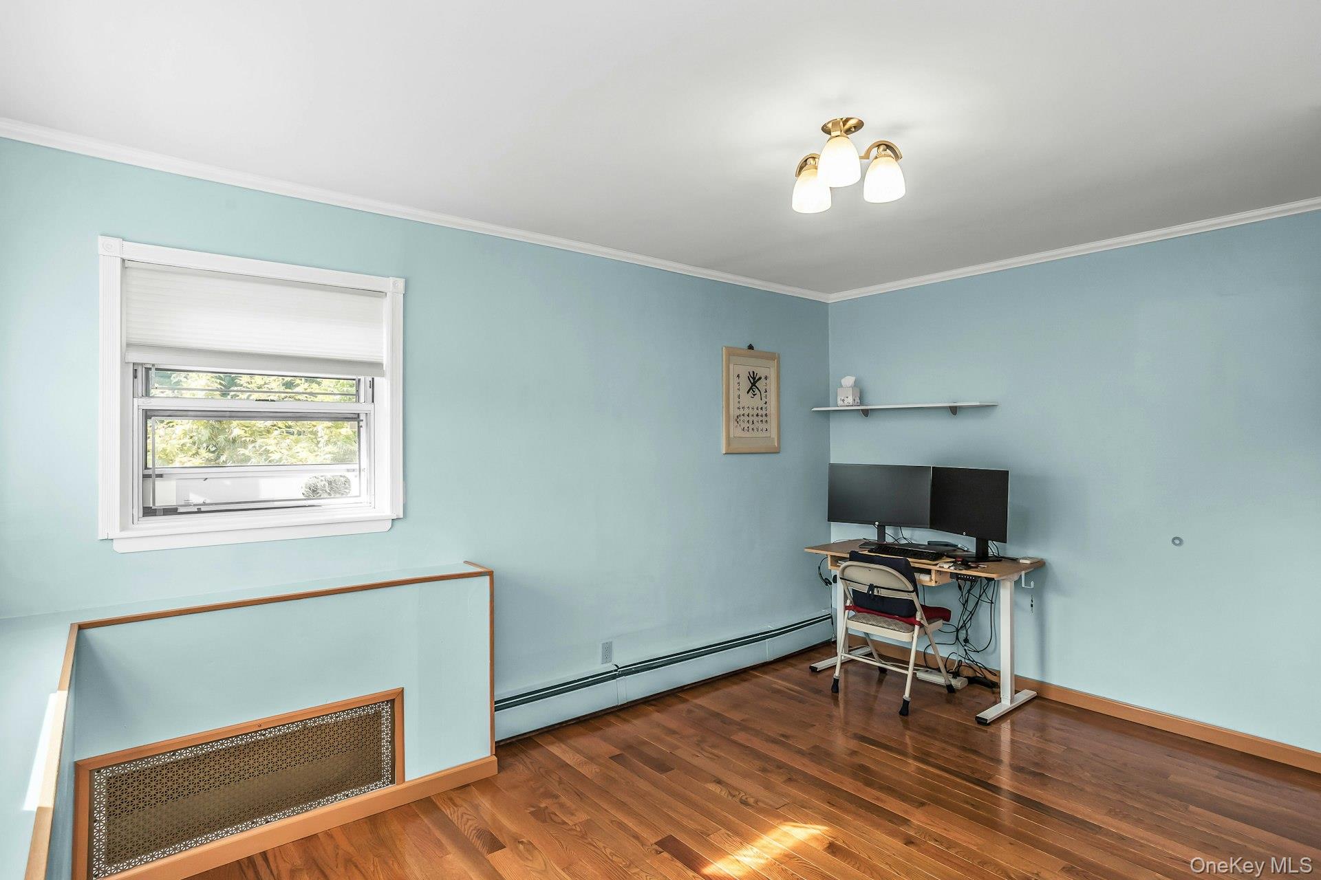 53 Hightop Lane, Jericho, NY 11753