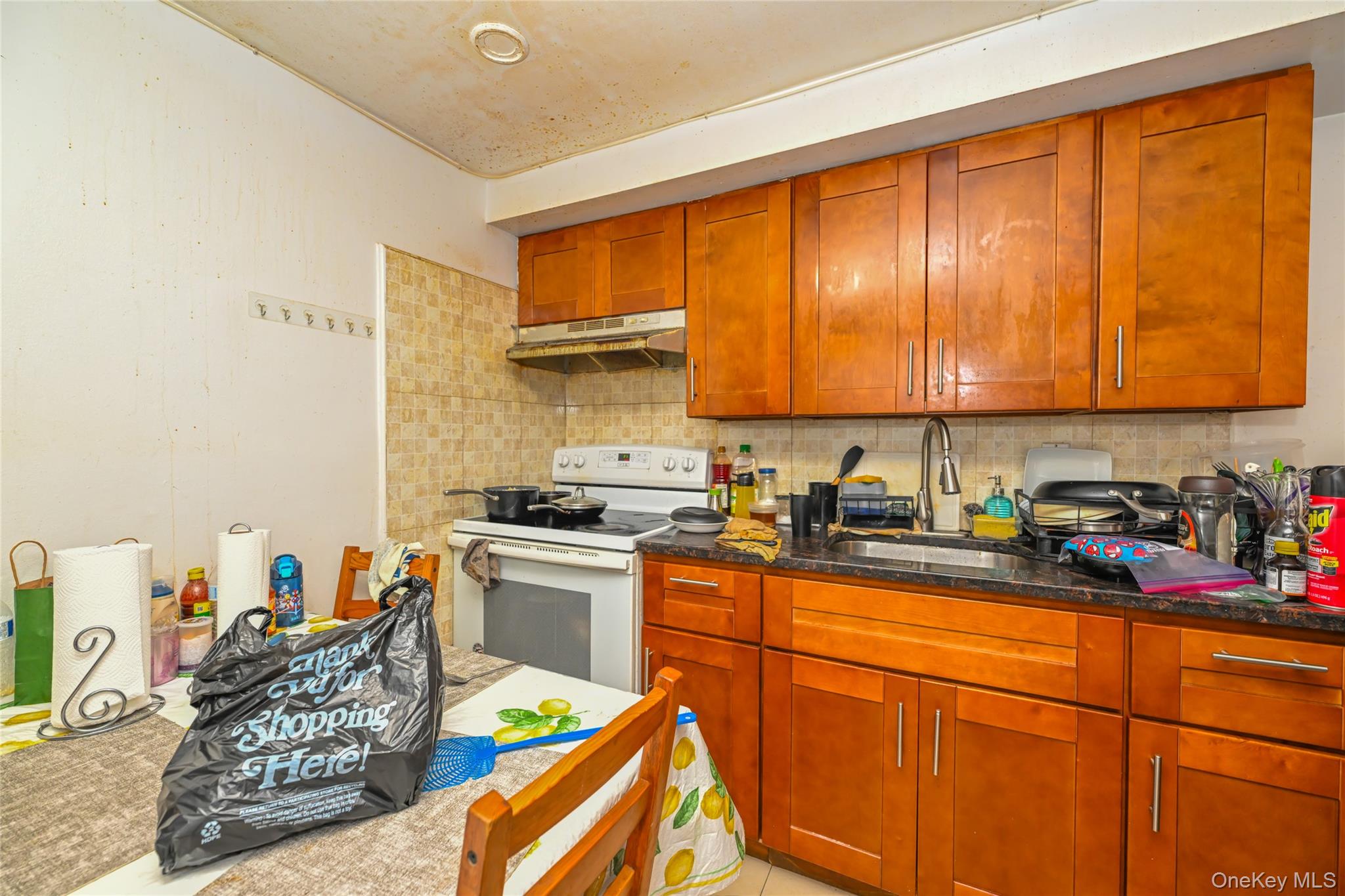 44-11/13 66 Street, Woodside, NY 11377