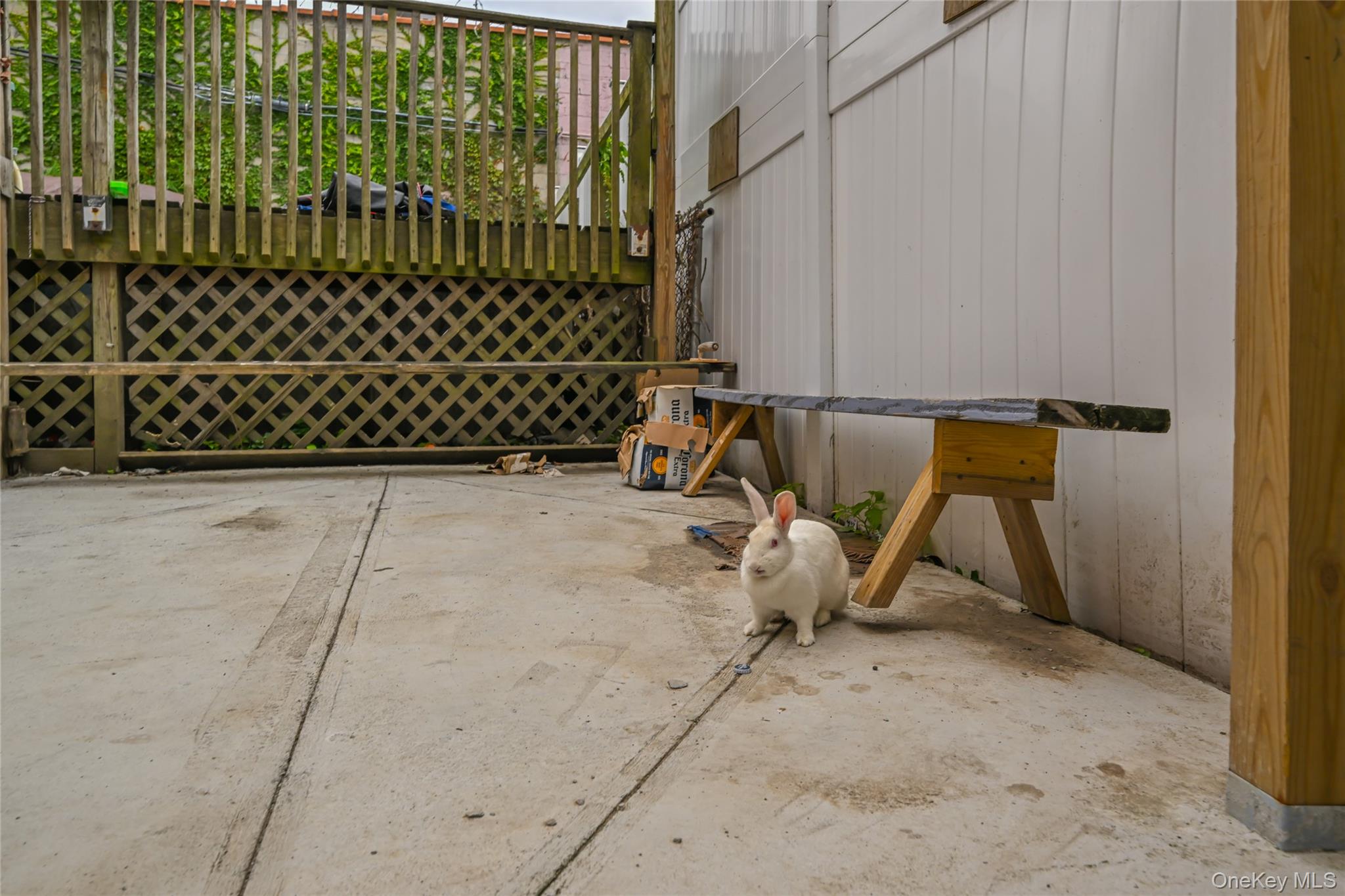 44-11/13 66 Street, Woodside, NY 11377