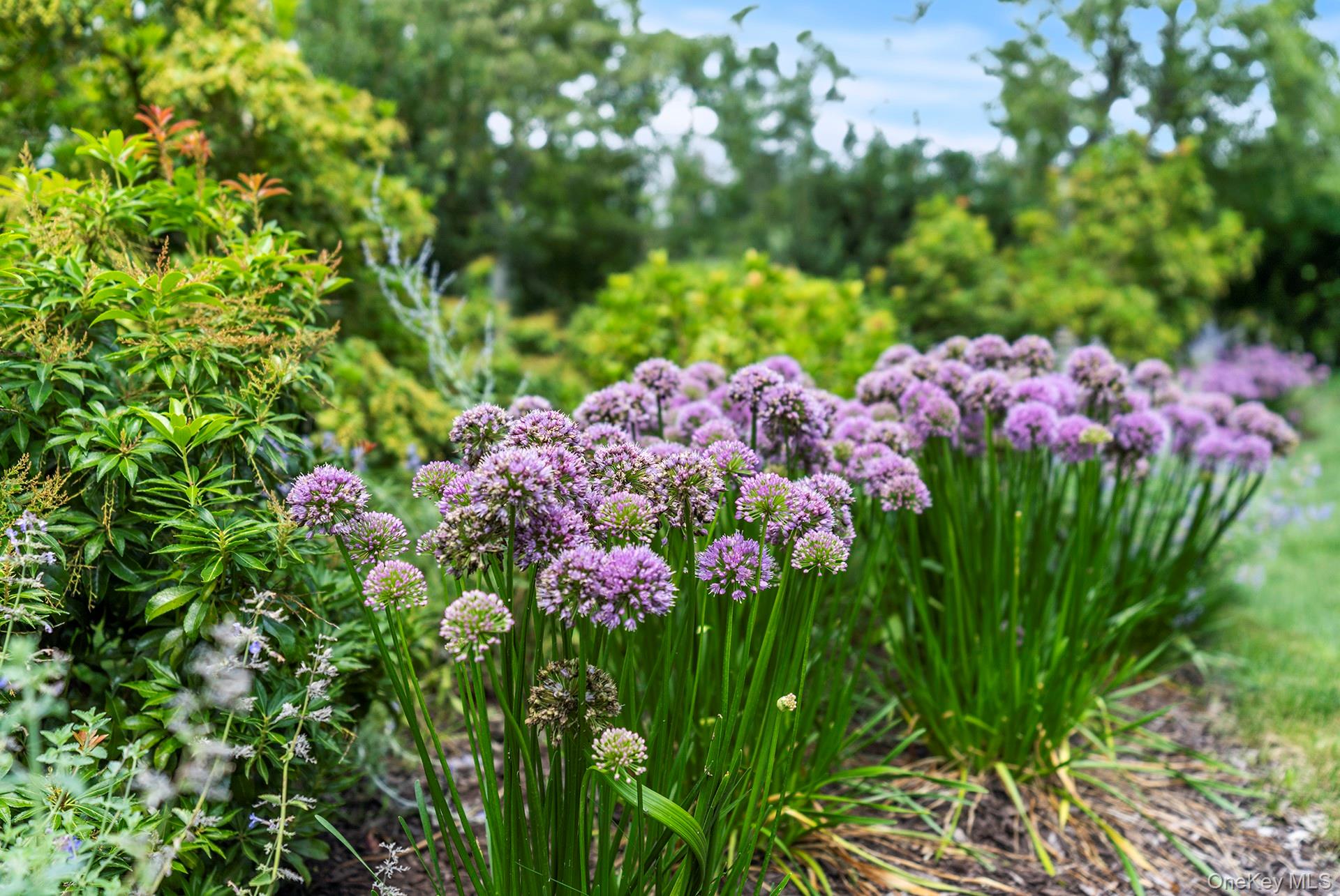 30 Huckleberry Lane, East Hampton, NY 11937