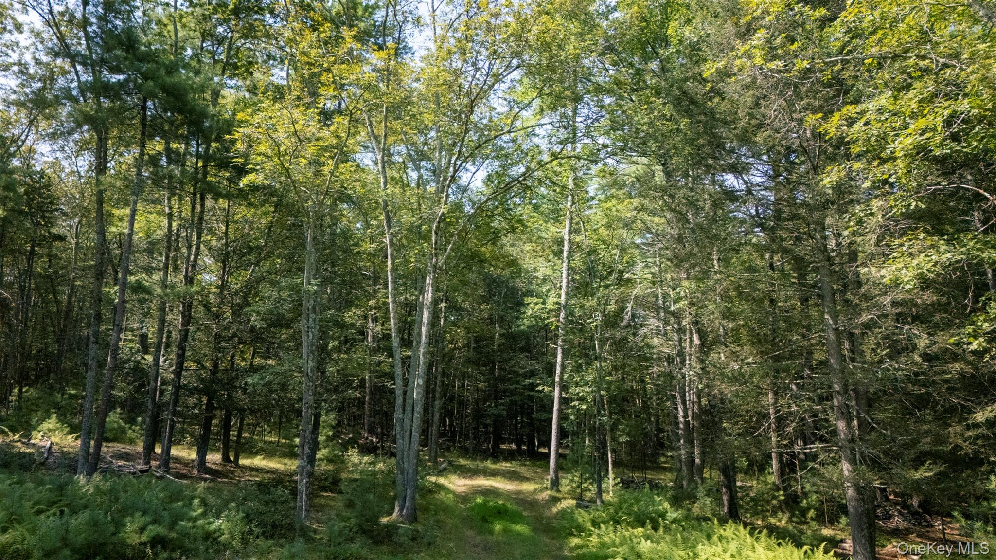 327 Phillips Road, Saugerties, NY 12477